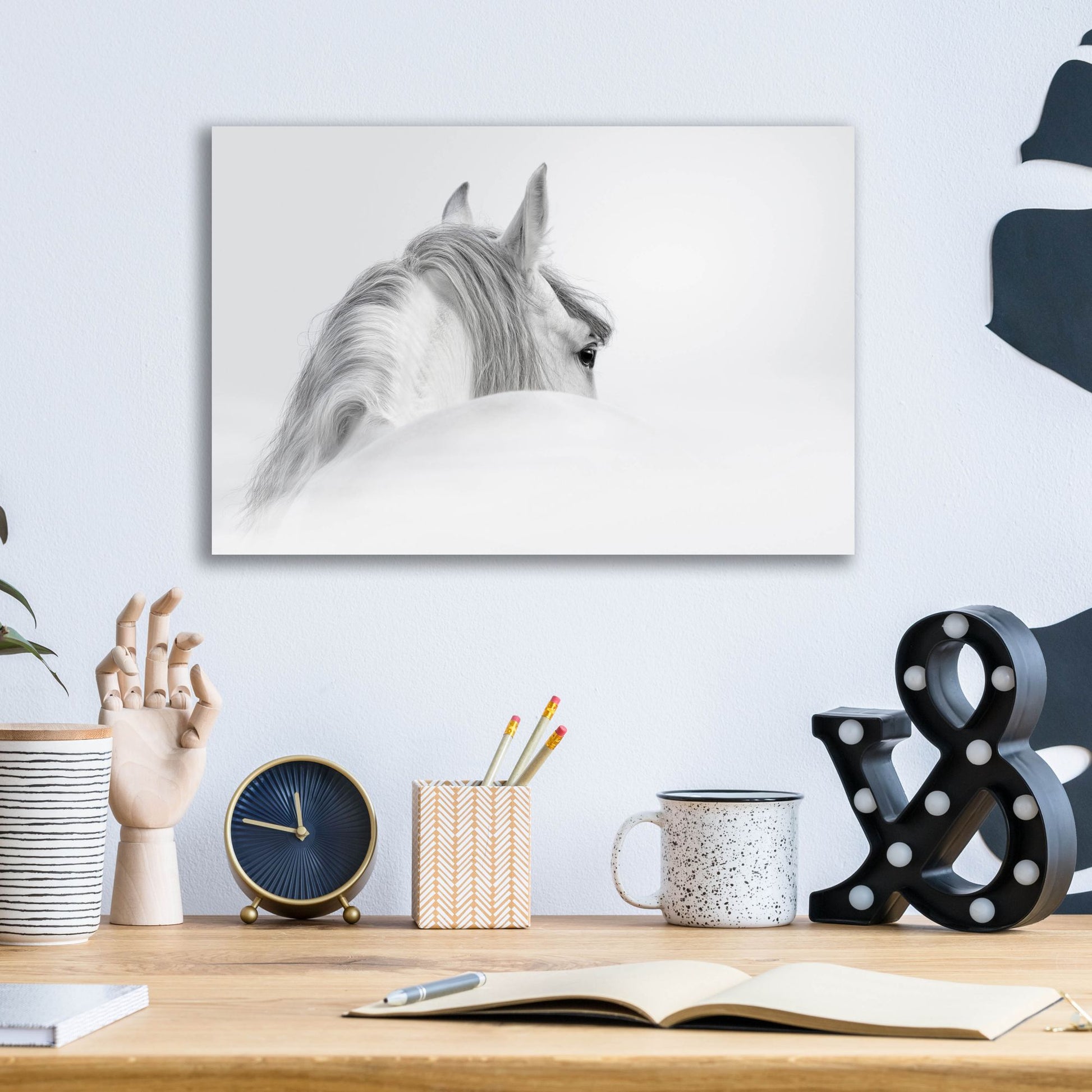 Epic Art 'White Horse' by Photoinc Studio, Acrylic Glass Wall Art,16x12