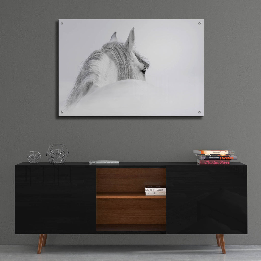 Epic Art 'White Horse' by Photoinc Studio, Acrylic Glass Wall Art,36x24