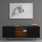 Epic Art 'White Horse' by Photoinc Studio, Acrylic Glass Wall Art,36x24
