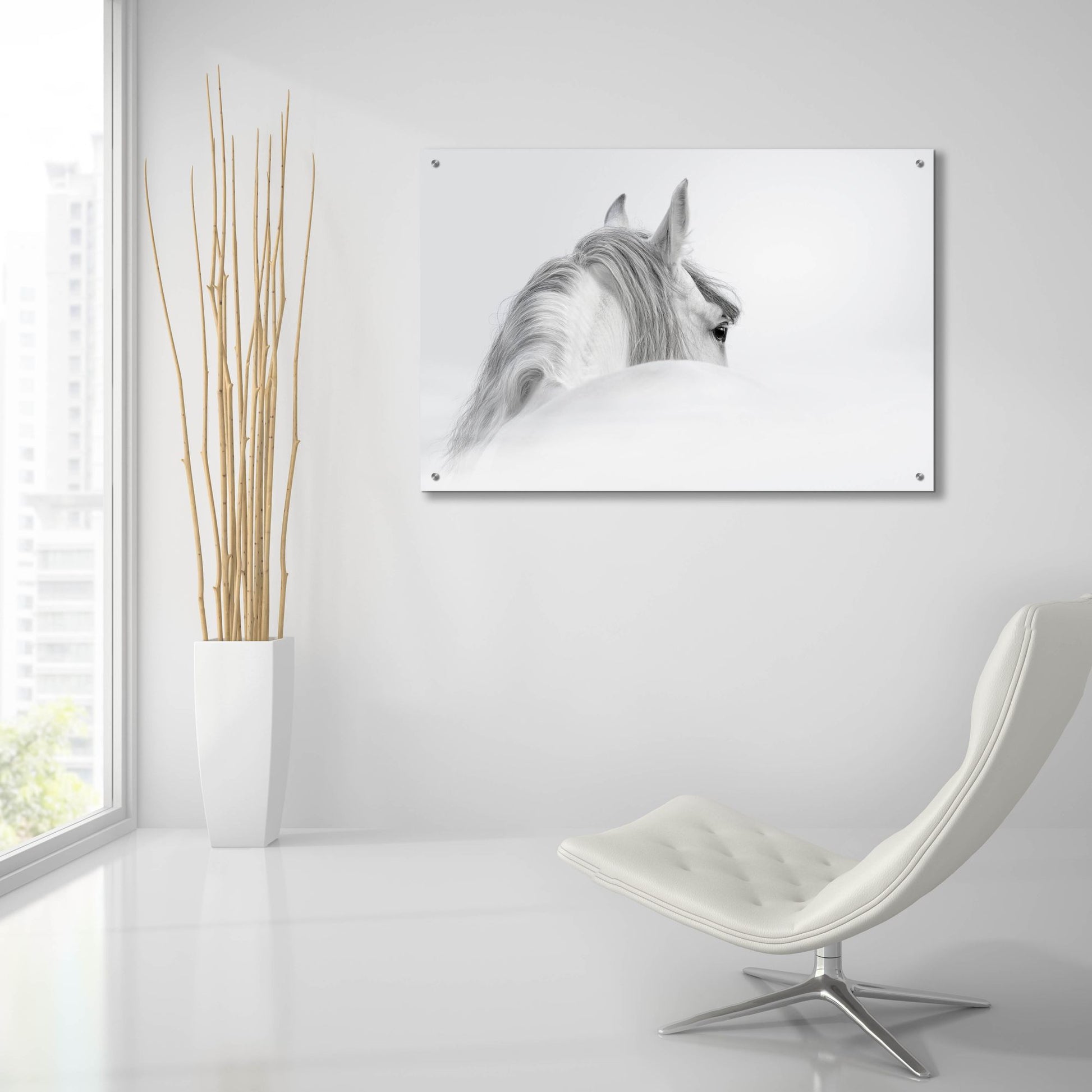 Epic Art 'White Horse' by Photoinc Studio, Acrylic Glass Wall Art,36x24