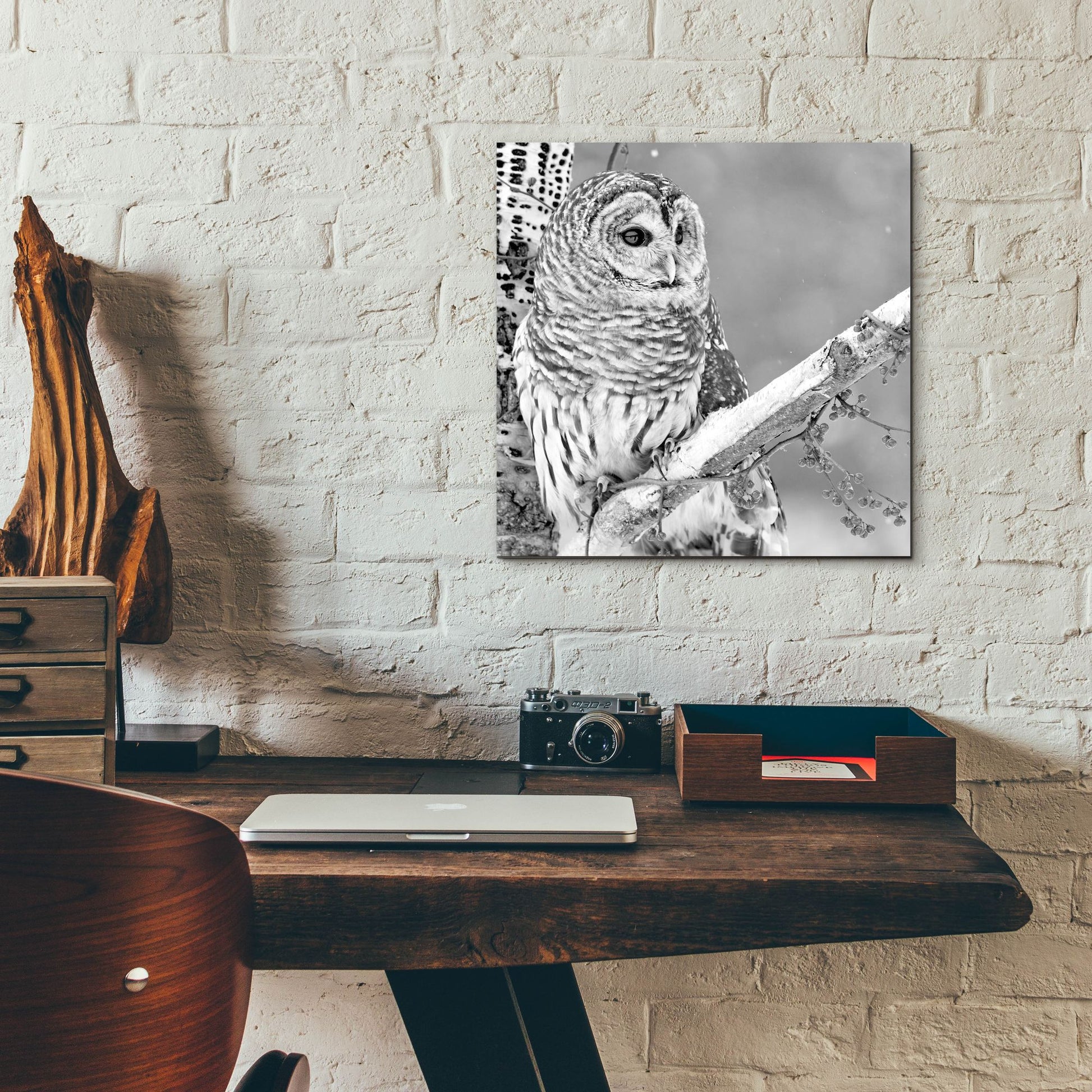 Epic Art 'White Owl' by Photoinc Studio, Acrylic Glass Wall Art,12x12