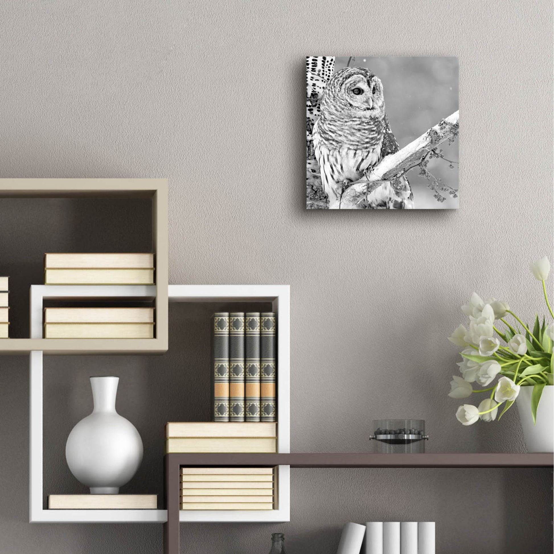 Epic Art 'White Owl' by Photoinc Studio, Acrylic Glass Wall Art,12x12