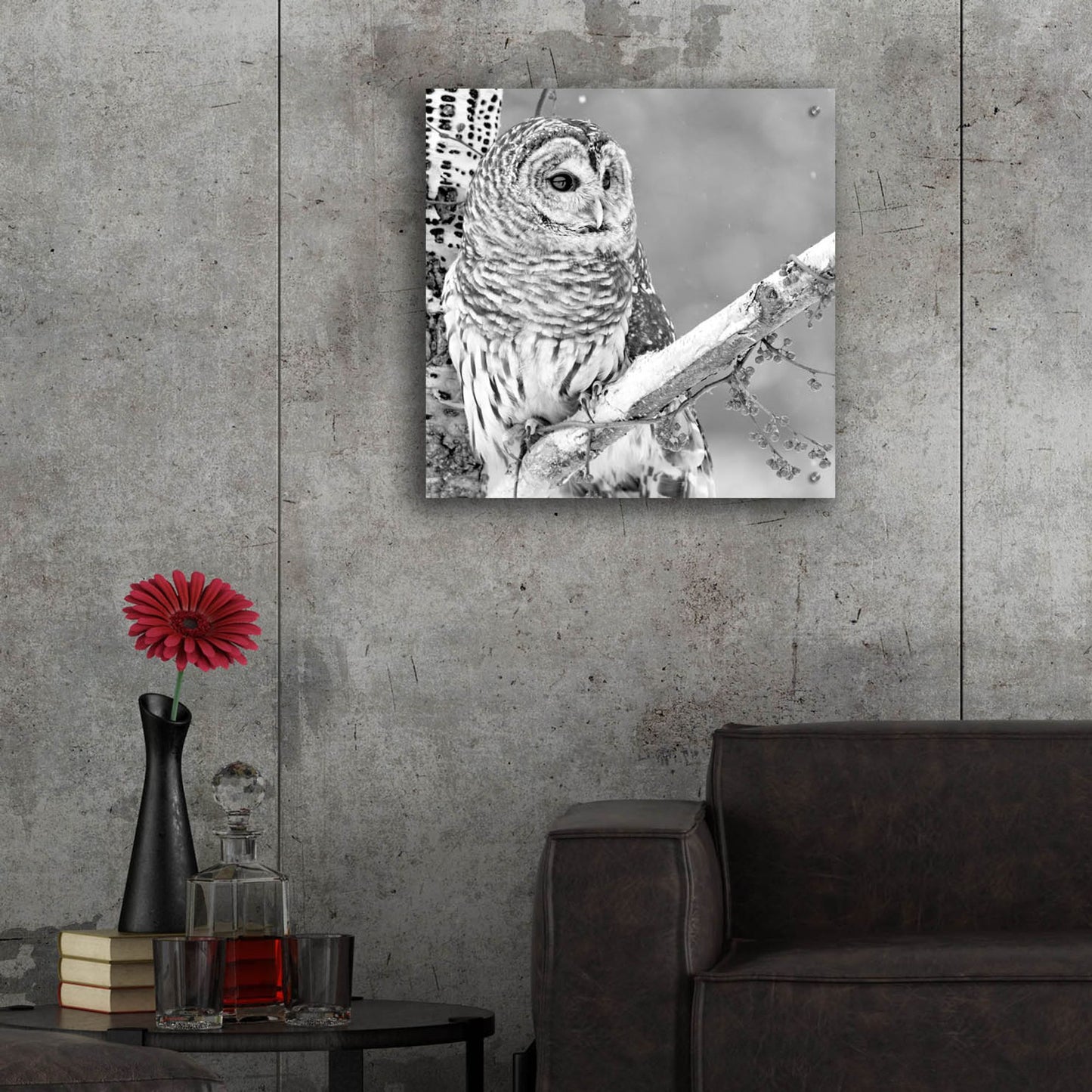 Epic Art 'White Owl' by Photoinc Studio, Acrylic Glass Wall Art,24x24