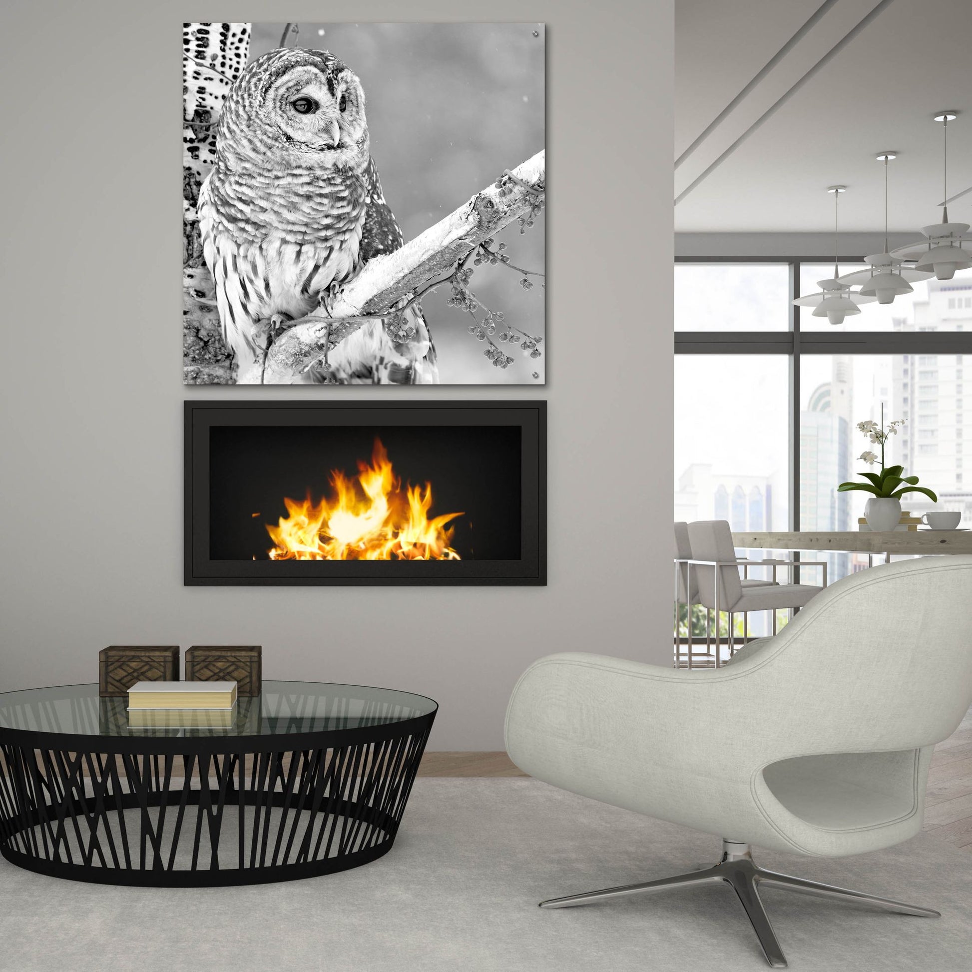 Epic Art 'White Owl' by Photoinc Studio, Acrylic Glass Wall Art,36x36