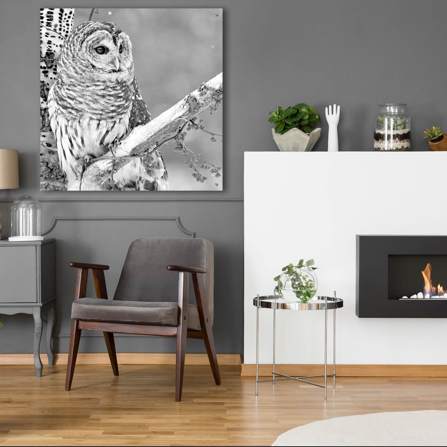 Epic Art 'White Owl' by Photoinc Studio, Acrylic Glass Wall Art,36x36