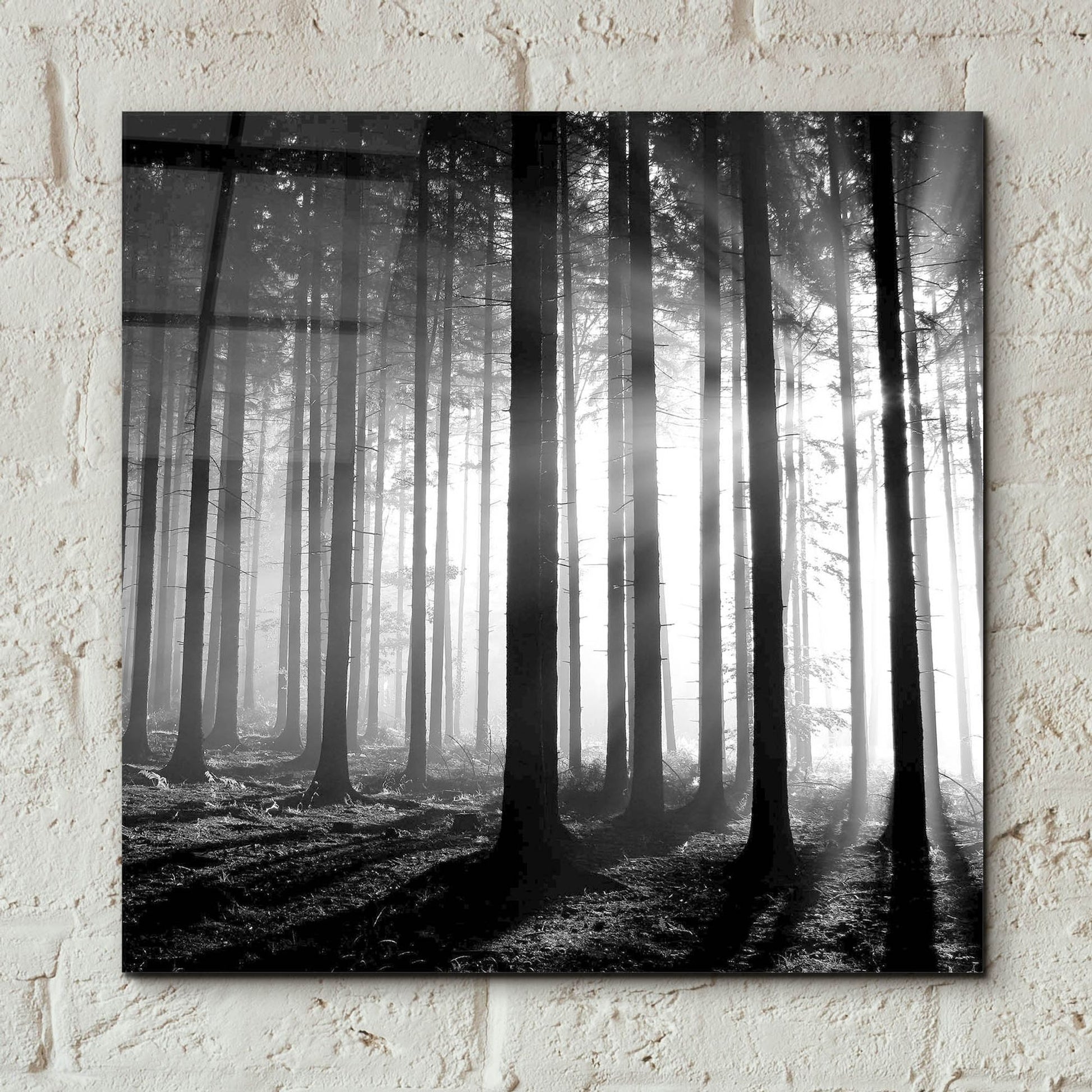 Epic Art 'Wood Light' by Photoinc Studio, Acrylic Glass Wall Art,12x12