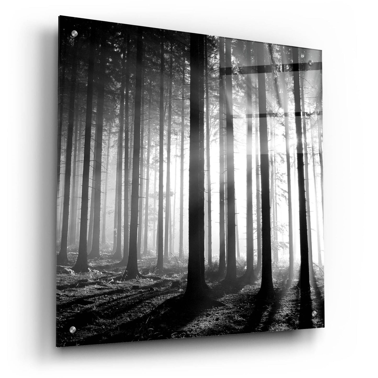 Epic Art 'Wood Light' by Photoinc Studio, Acrylic Glass Wall Art,24x24