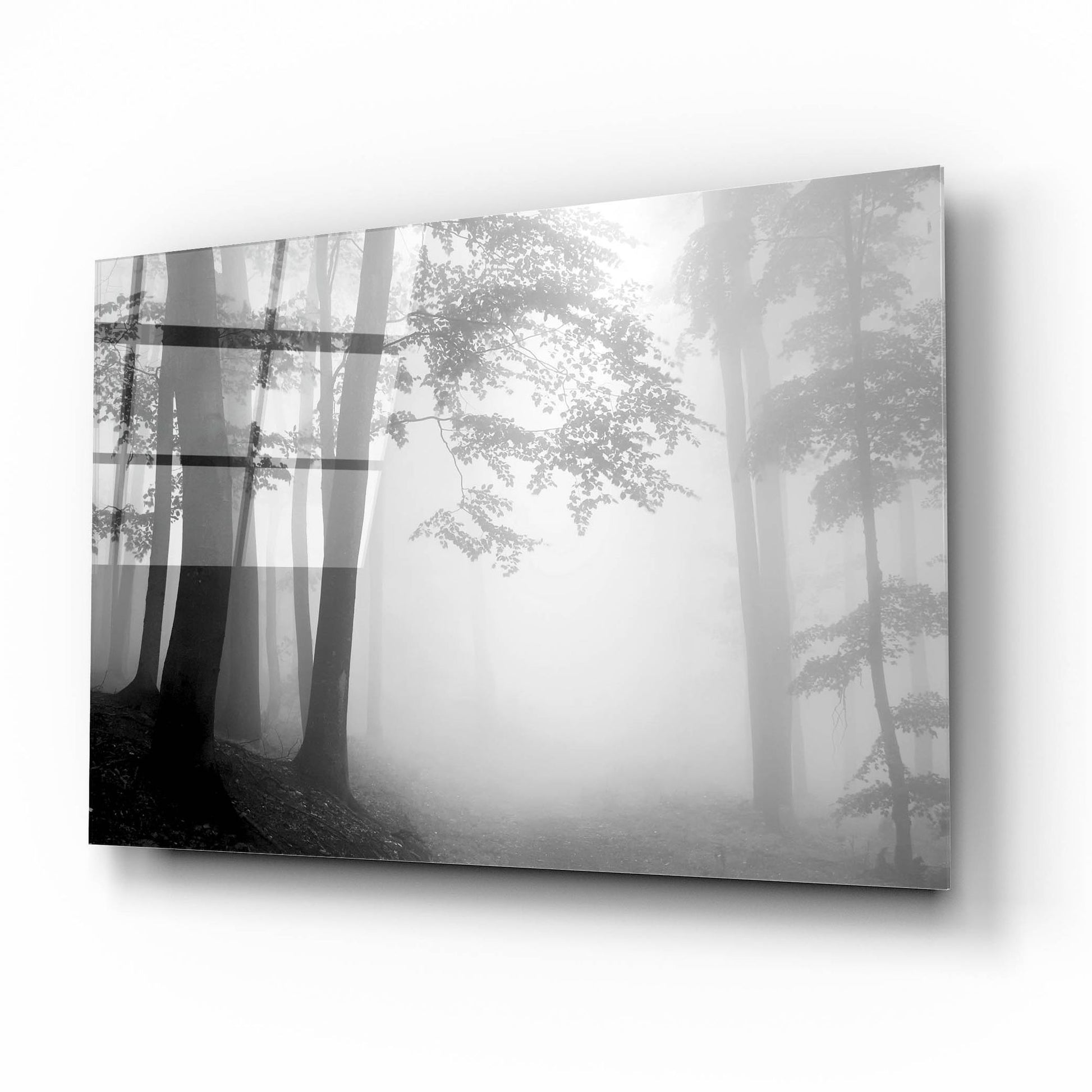 Epic Art 'Woods 1' by Photoinc Studio, Acrylic Glass Wall Art,16x12