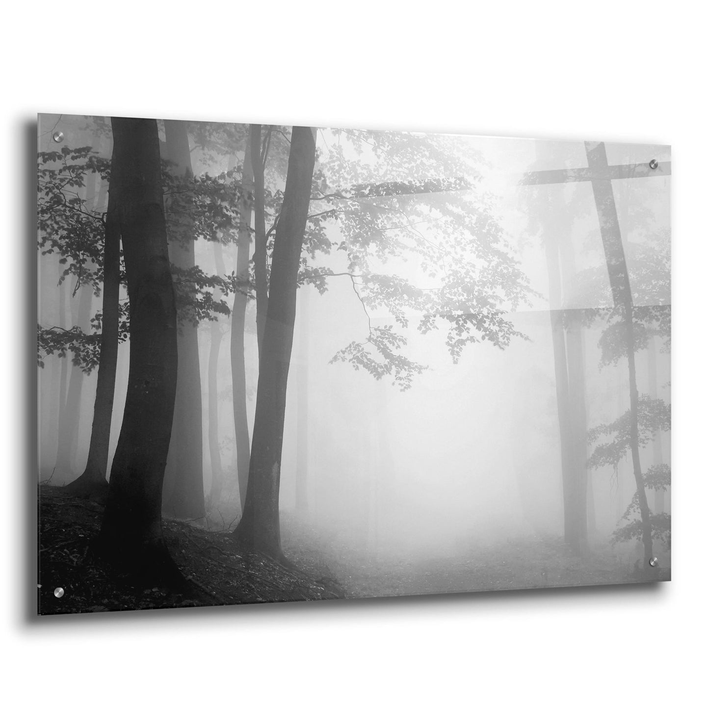 Epic Art 'Woods 1' by Photoinc Studio, Acrylic Glass Wall Art,36x24