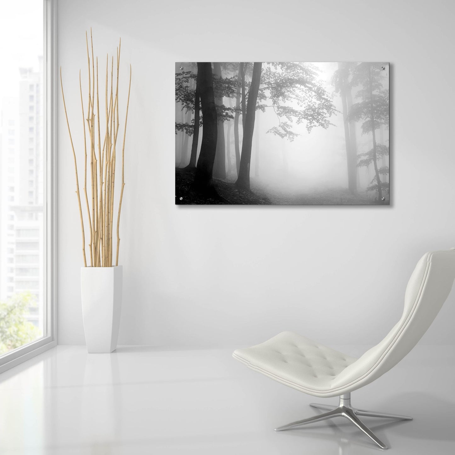 Epic Art 'Woods 1' by Photoinc Studio, Acrylic Glass Wall Art,36x24