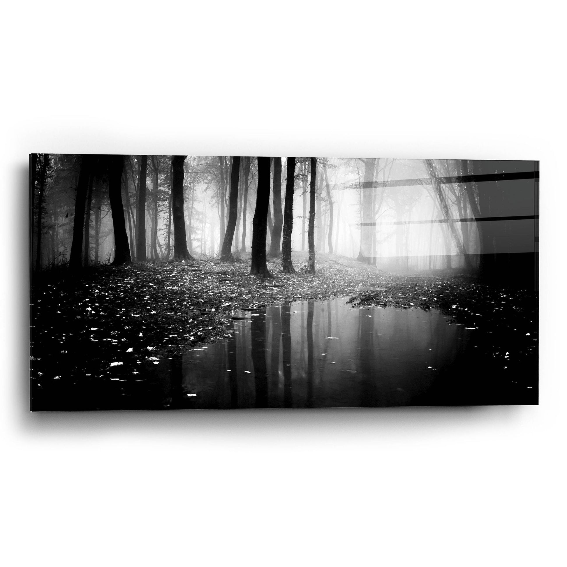 Epic Art 'Woods 2' by Photoinc Studio, Acrylic Glass Wall Art,24x12