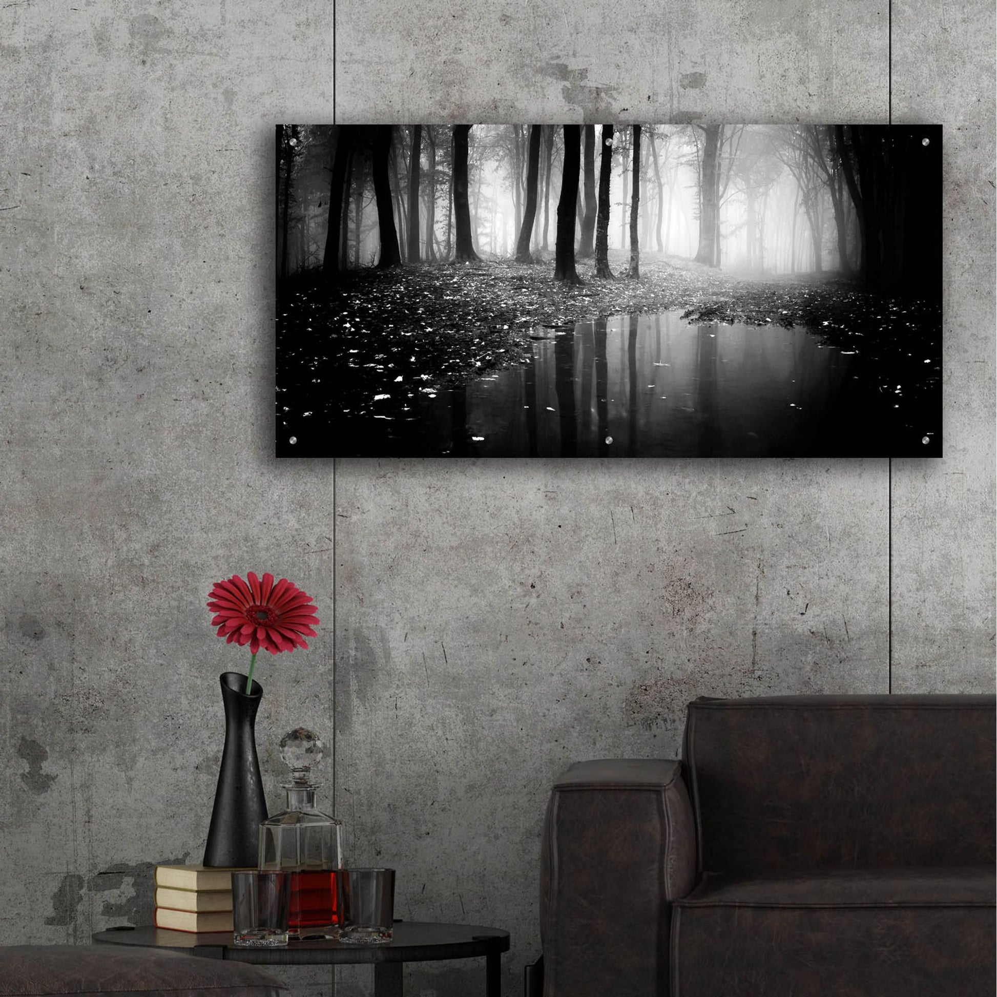 Epic Art 'Woods 2' by Photoinc Studio, Acrylic Glass Wall Art,48x24