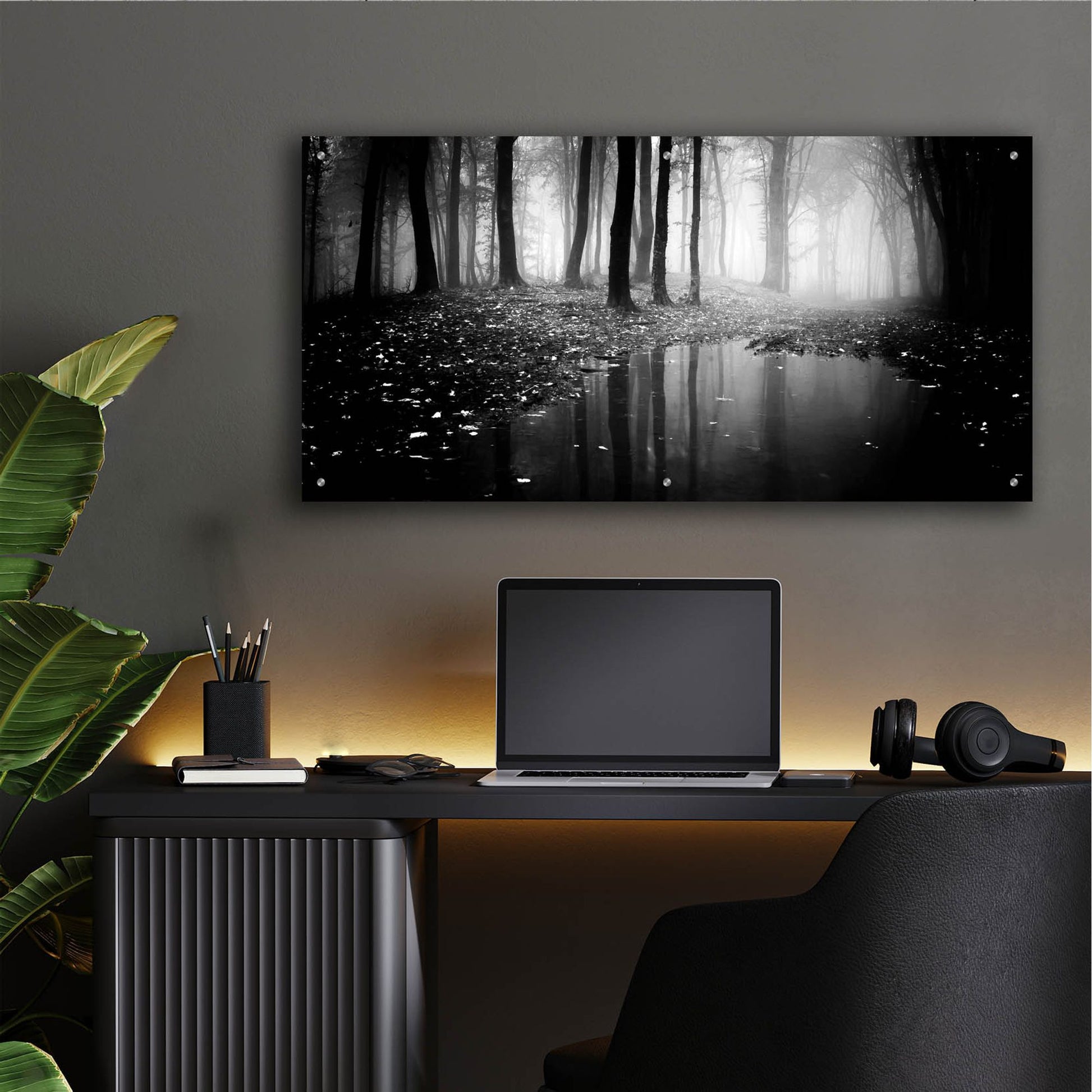 Epic Art 'Woods 2' by Photoinc Studio, Acrylic Glass Wall Art,48x24