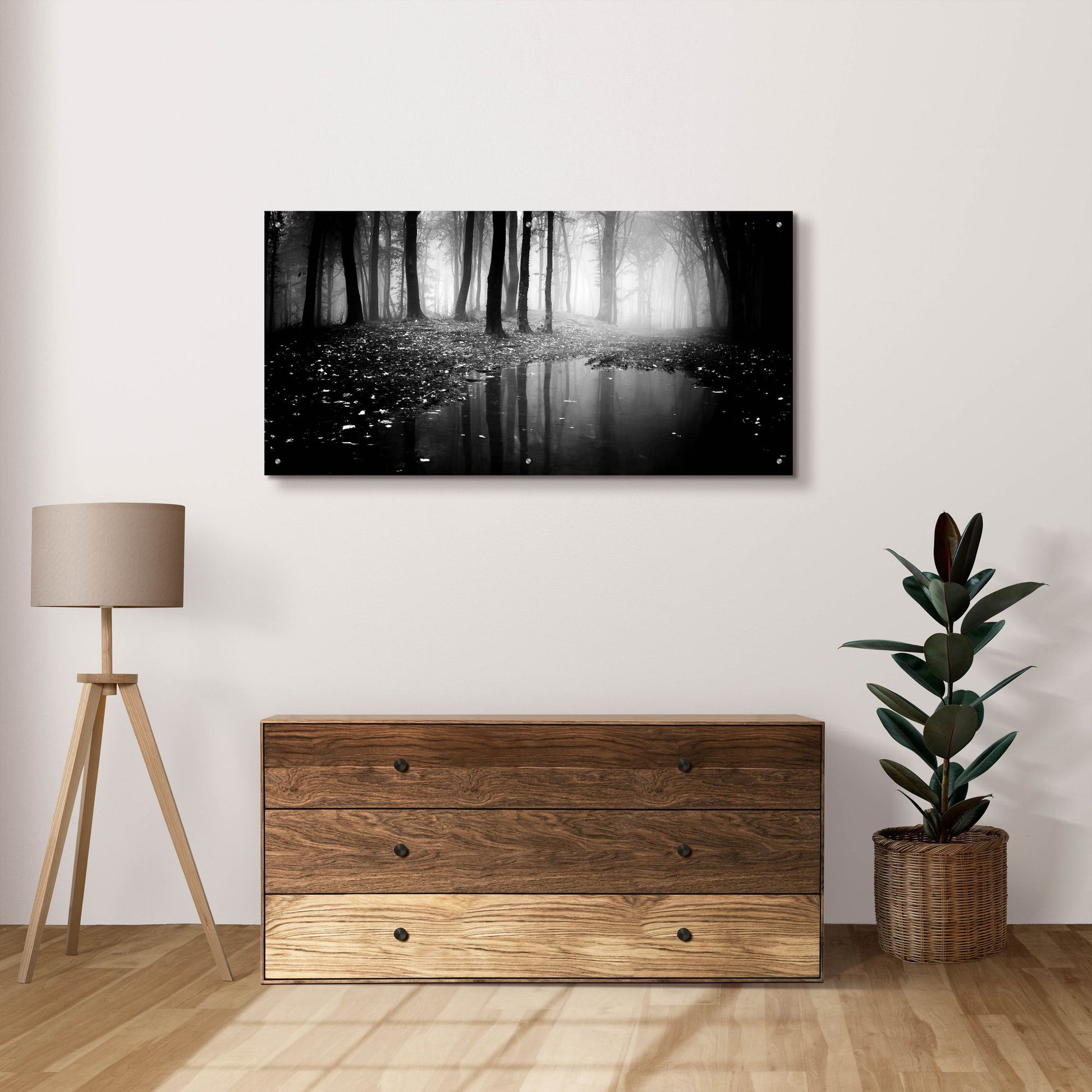 Epic Art 'Woods 2' by Photoinc Studio, Acrylic Glass Wall Art,48x24