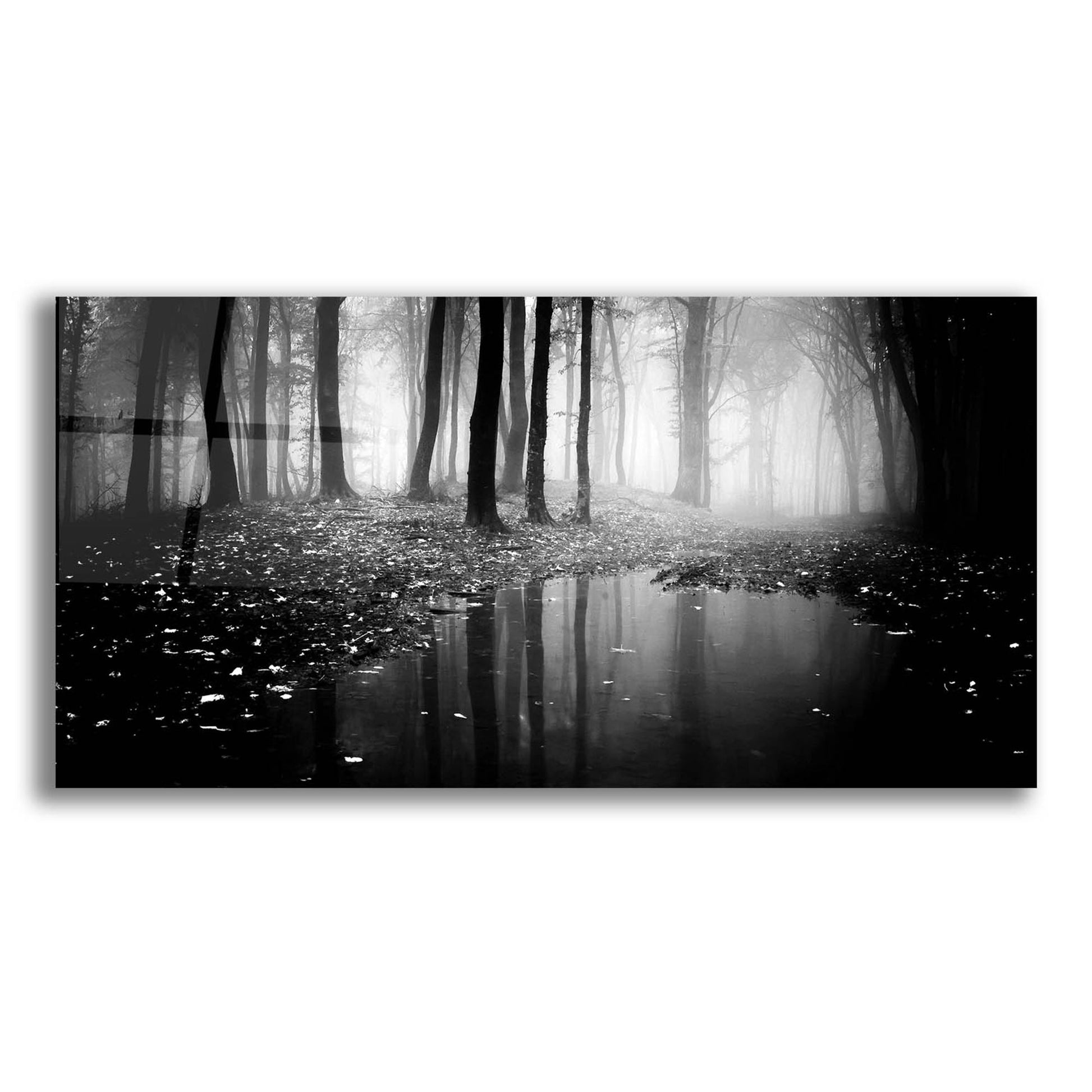 Epic Art 'Woods 2' by Photoinc Studio, Acrylic Glass Wall Art