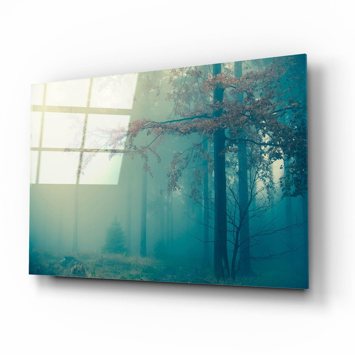 Epic Art 'Woods 3' by Photoinc Studio, Acrylic Glass Wall Art,16x12