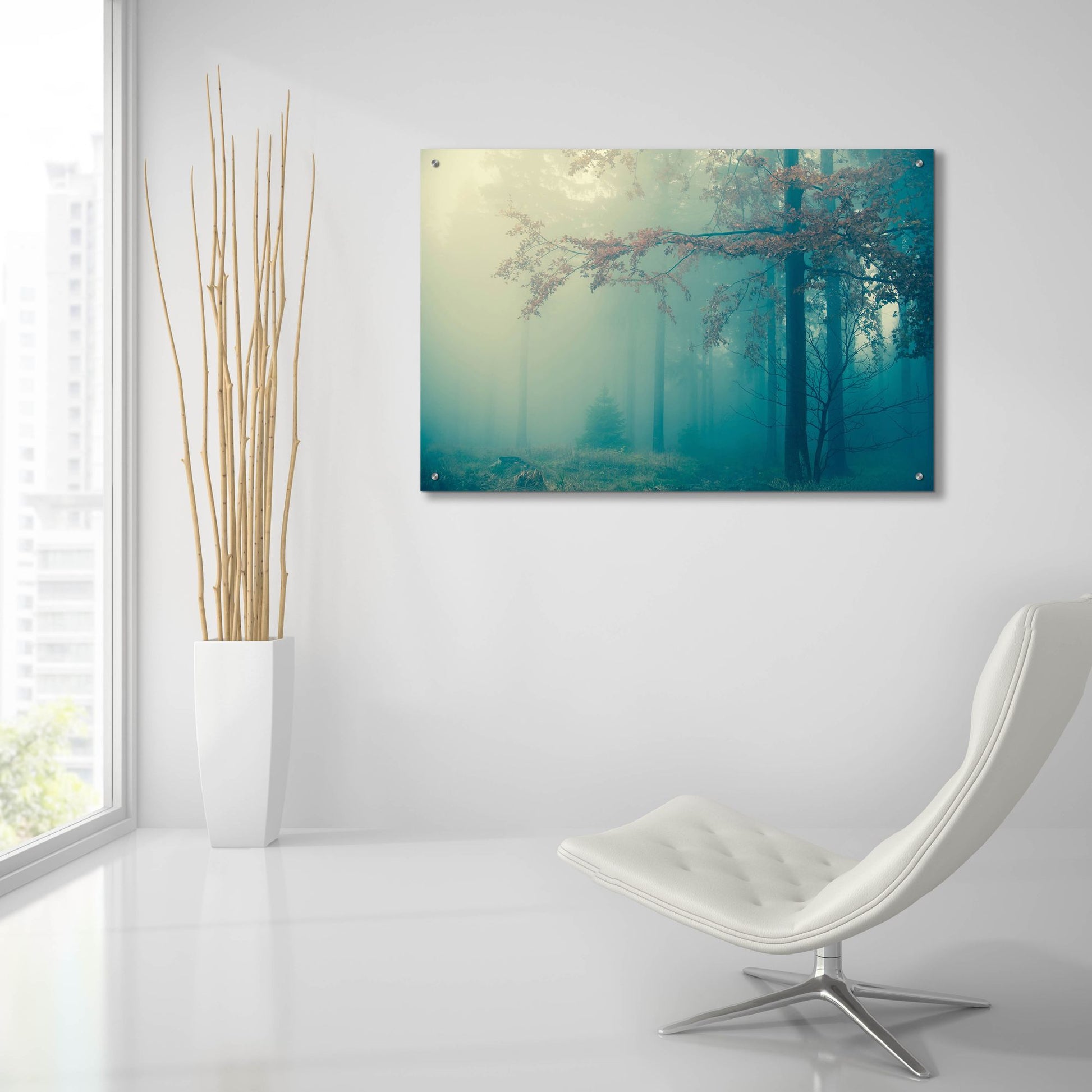 Epic Art 'Woods 3' by Photoinc Studio, Acrylic Glass Wall Art,36x24