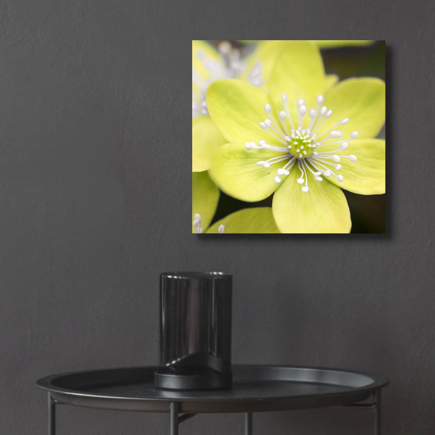 Epic Art 'Yellow Blossom' by Photoinc Studio, Acrylic Glass Wall Art,12x12