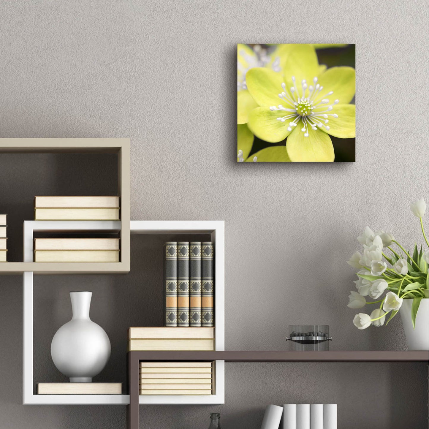 Epic Art 'Yellow Blossom' by Photoinc Studio, Acrylic Glass Wall Art,12x12
