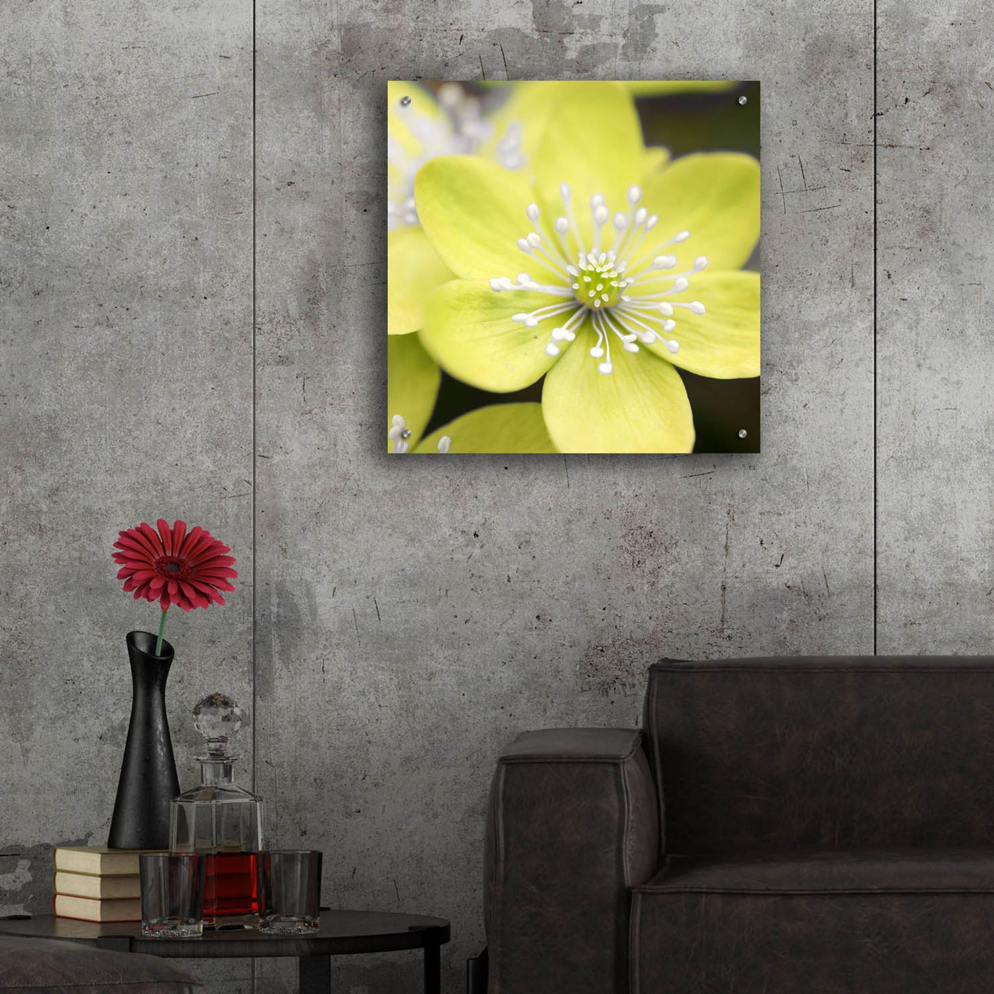 Epic Art 'Yellow Blossom' by Photoinc Studio, Acrylic Glass Wall Art,24x24