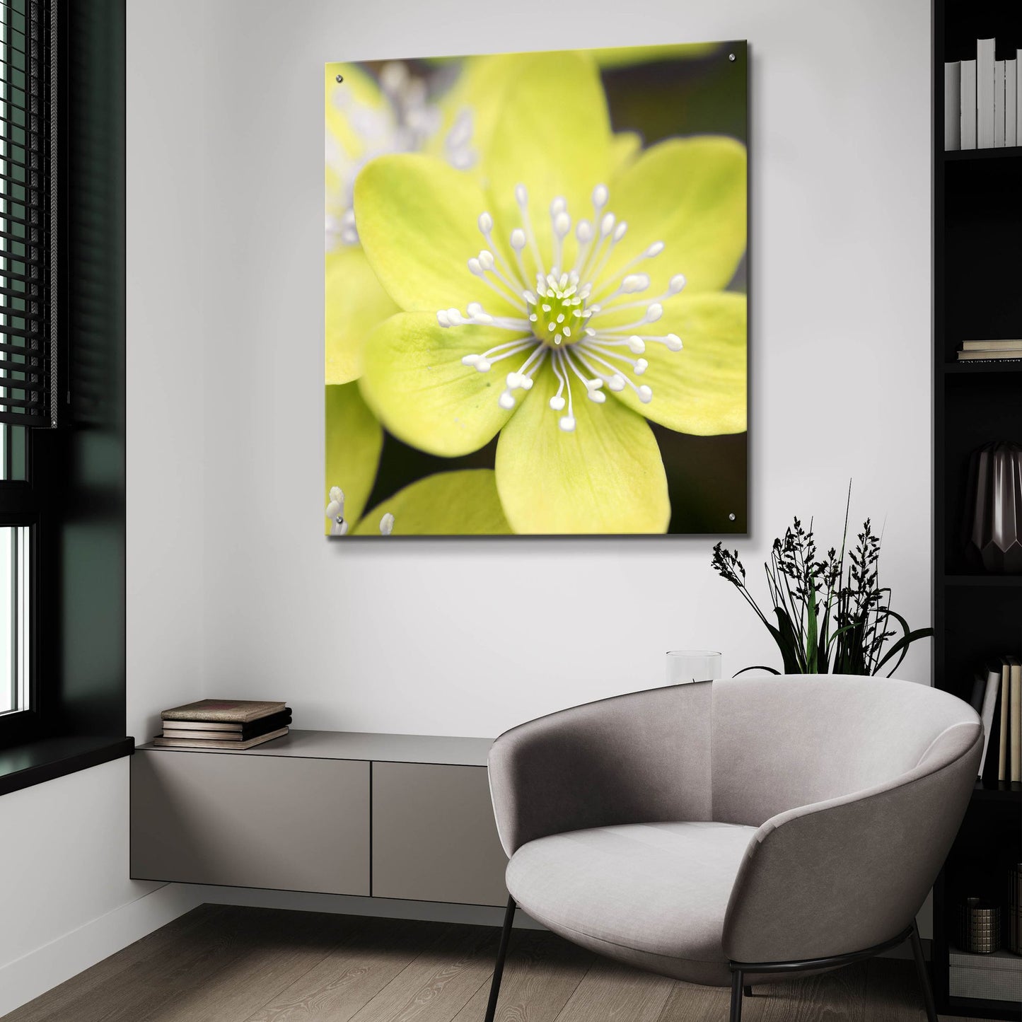 Epic Art 'Yellow Blossom' by Photoinc Studio, Acrylic Glass Wall Art,36x36