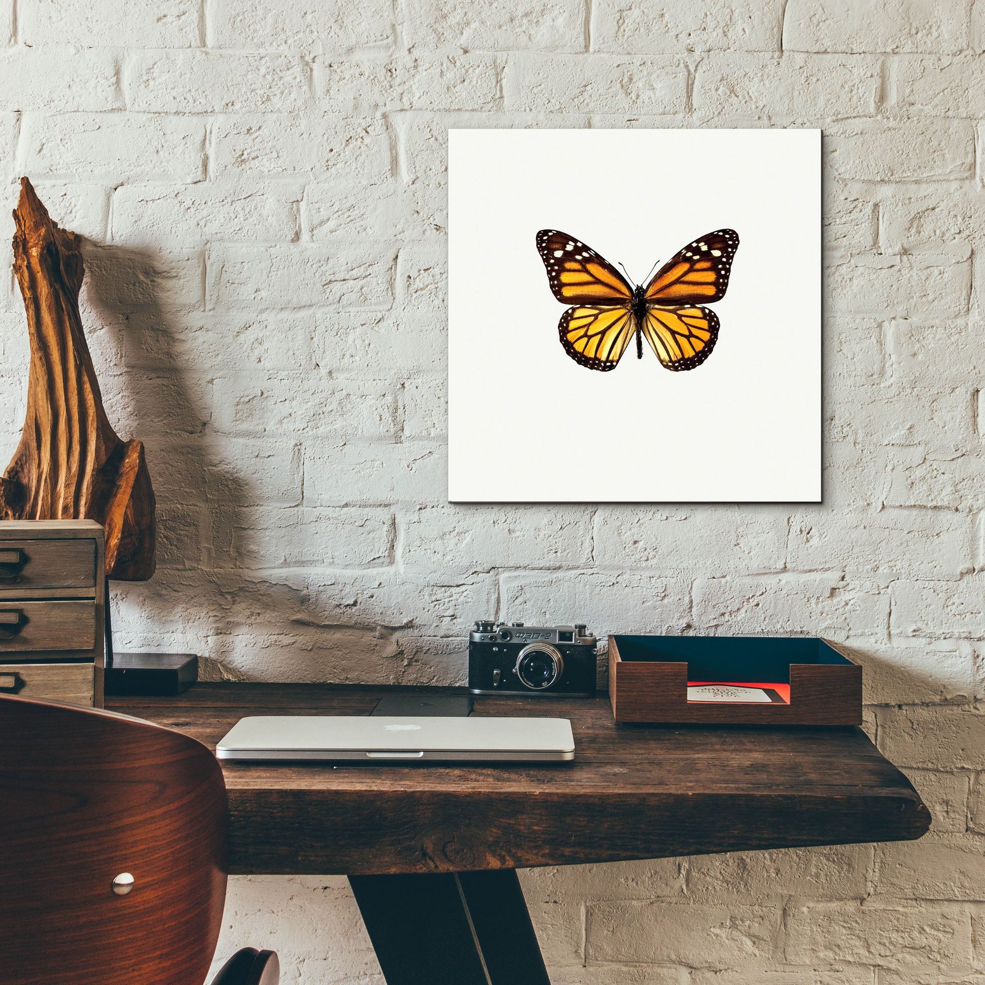 Epic Art 'Yellow Butterfly 1' by Photoinc Studio, Acrylic Glass Wall Art,12x12