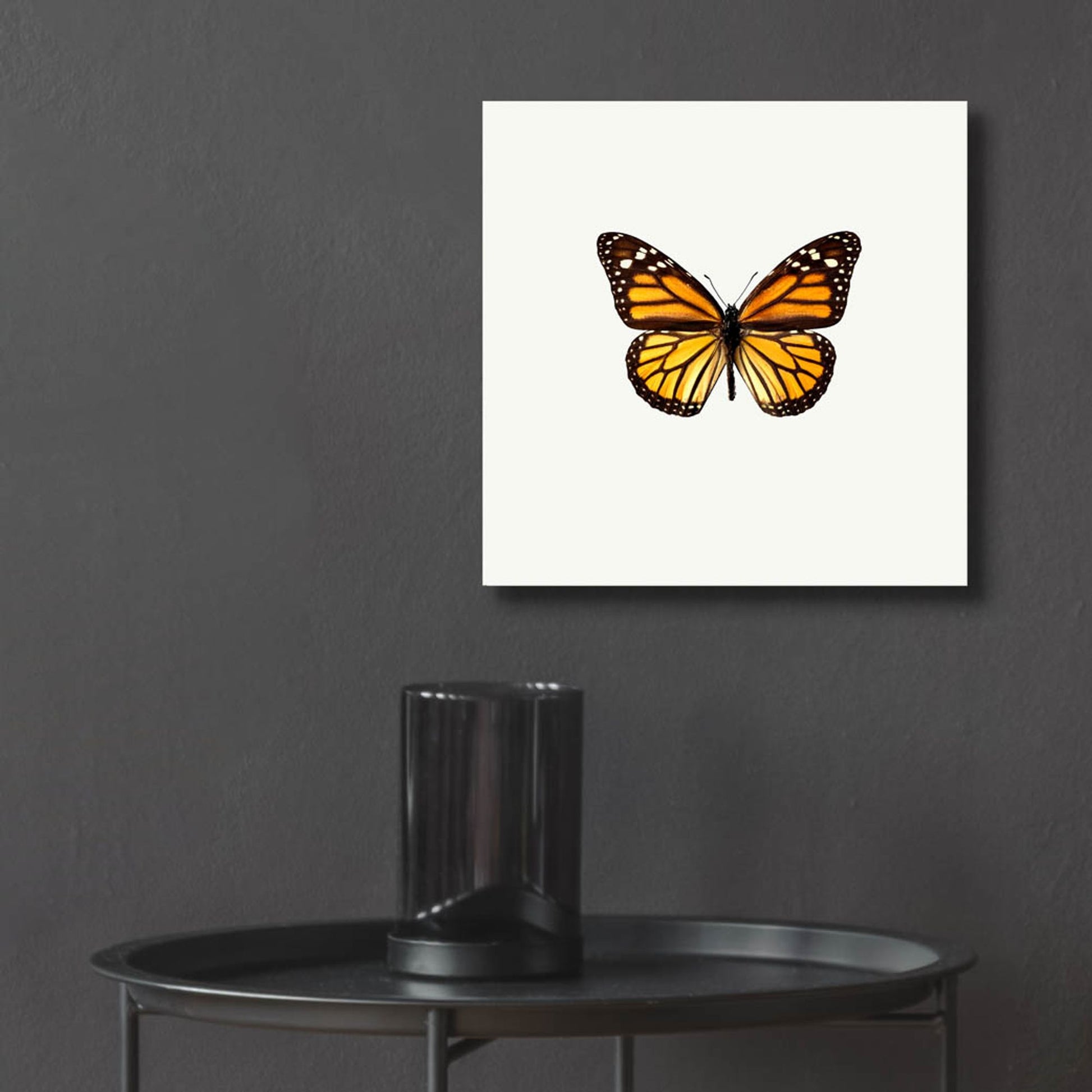 Epic Art 'Yellow Butterfly 1' by Photoinc Studio, Acrylic Glass Wall Art,12x12