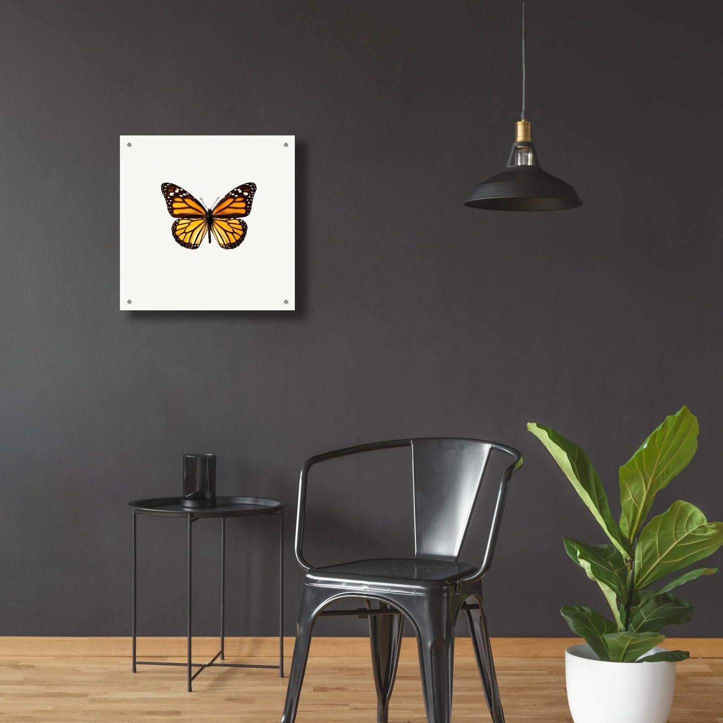 Epic Art 'Yellow Butterfly 1' by Photoinc Studio, Acrylic Glass Wall Art,24x24