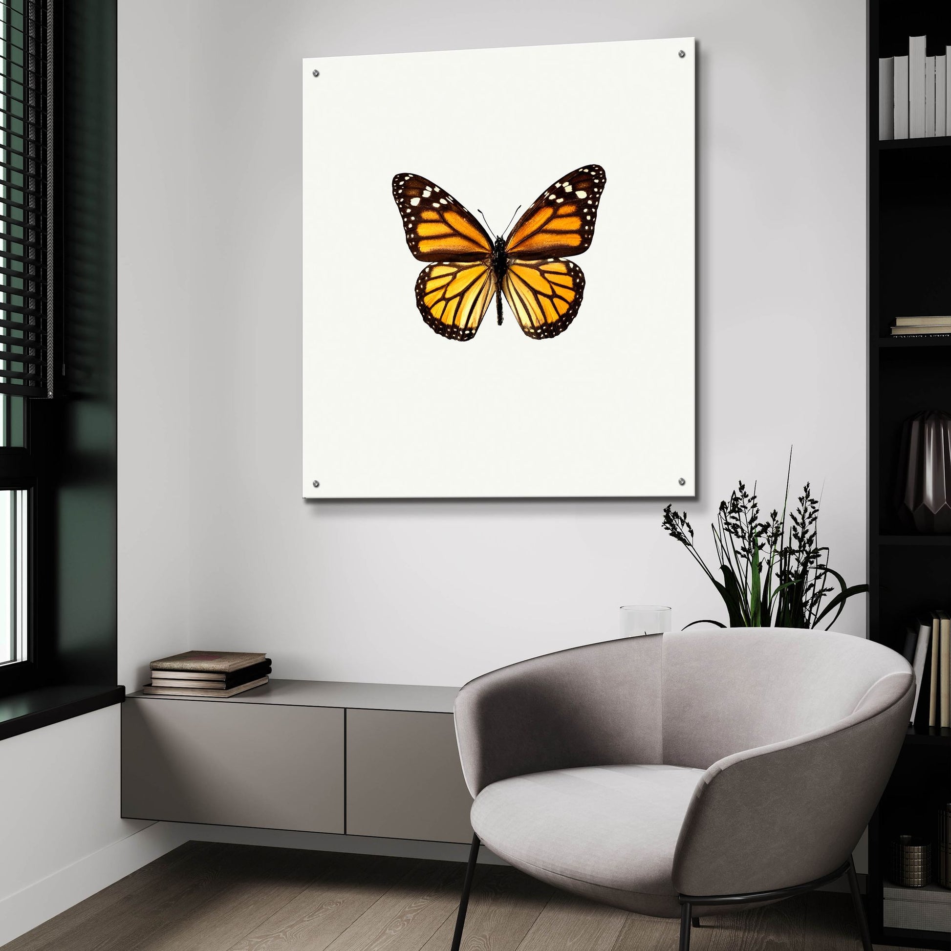 Epic Art 'Yellow Butterfly 1' by Photoinc Studio, Acrylic Glass Wall Art,36x36