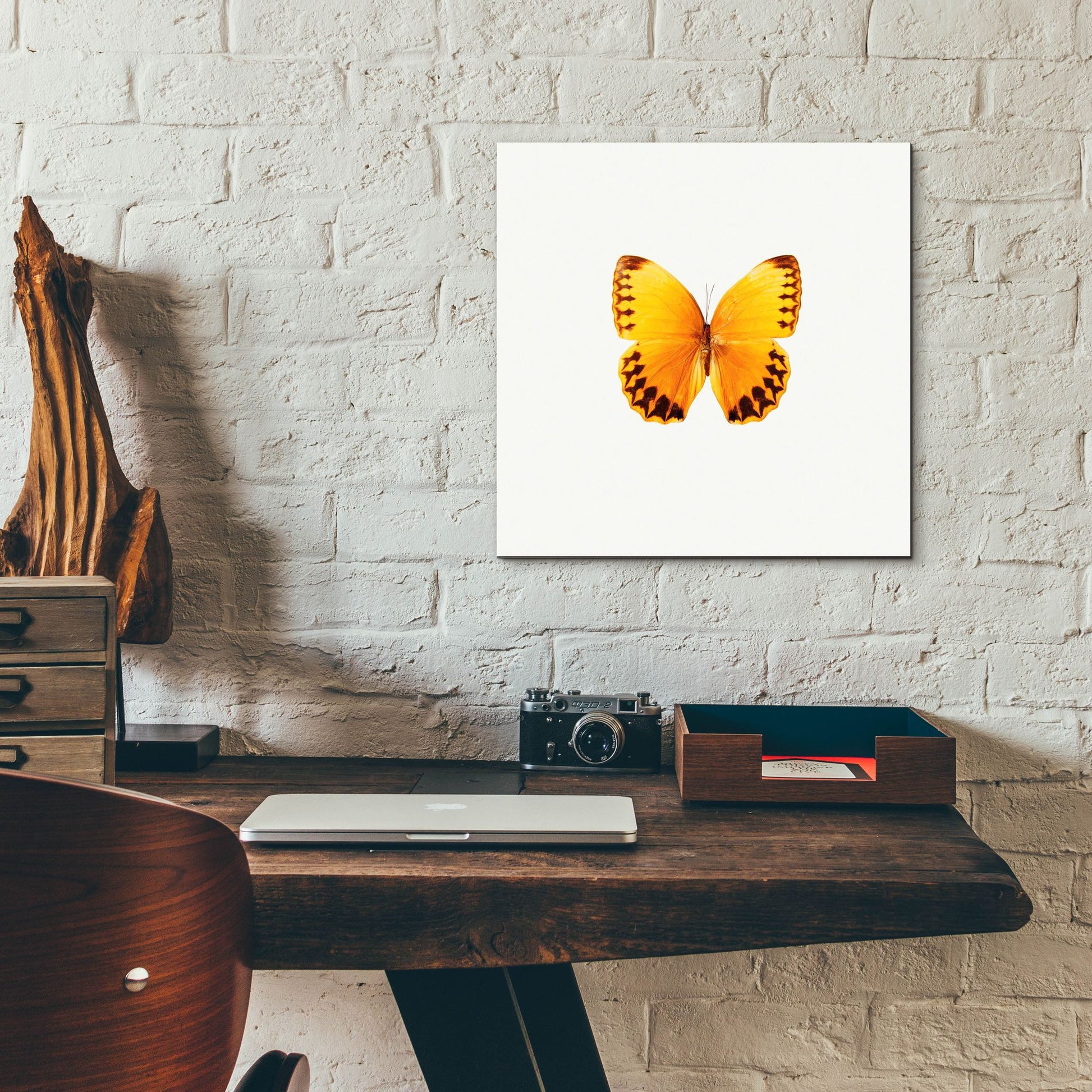 Epic Art 'Yellow Butterfly 2' by Photoinc Studio, Acrylic Glass Wall Art,12x12