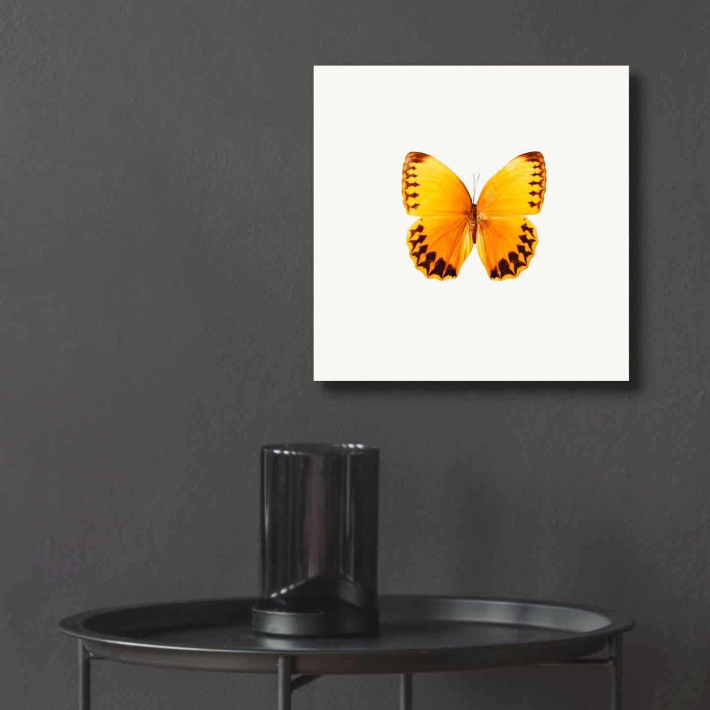 Epic Art 'Yellow Butterfly 2' by Photoinc Studio, Acrylic Glass Wall Art,12x12