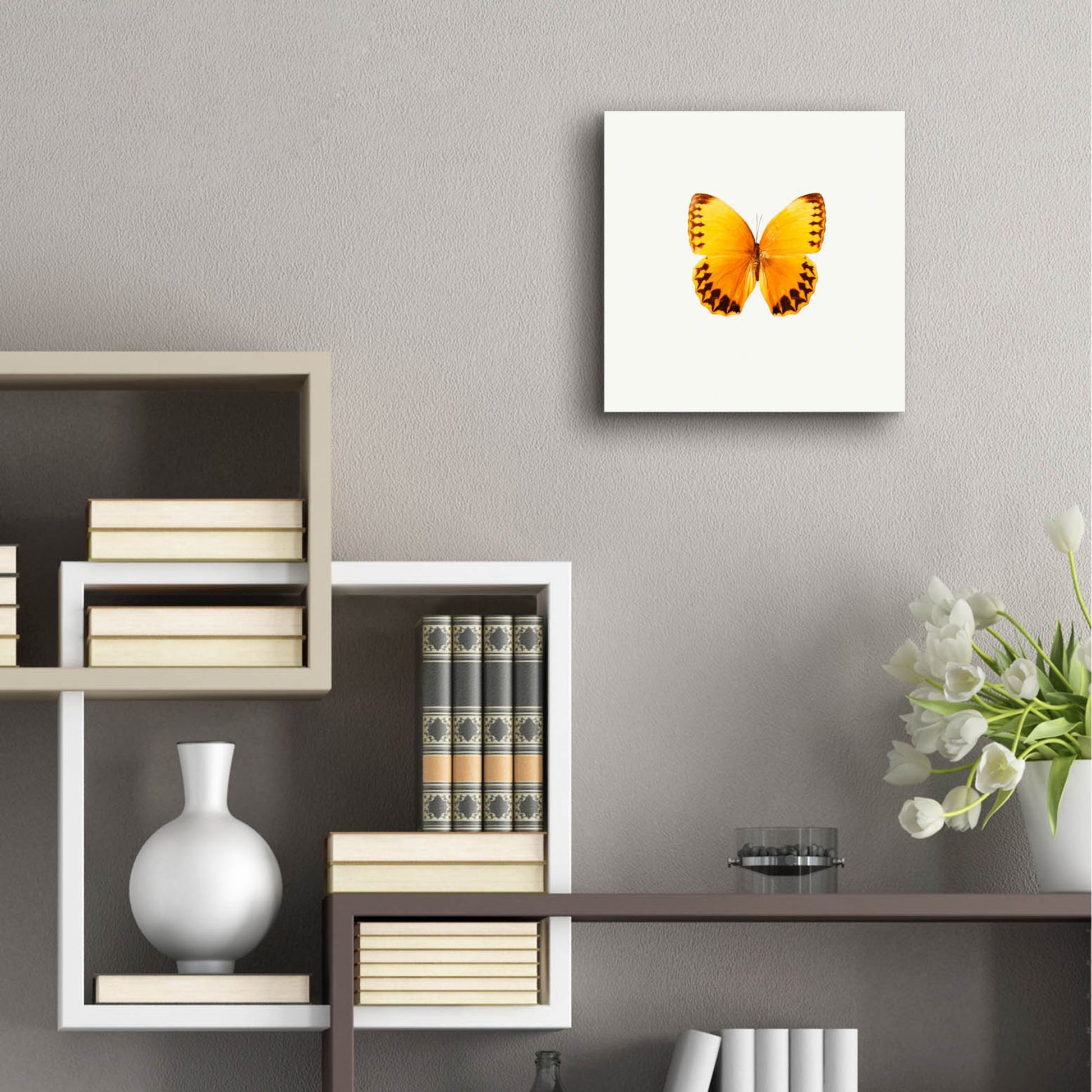 Epic Art 'Yellow Butterfly 2' by Photoinc Studio, Acrylic Glass Wall Art,12x12