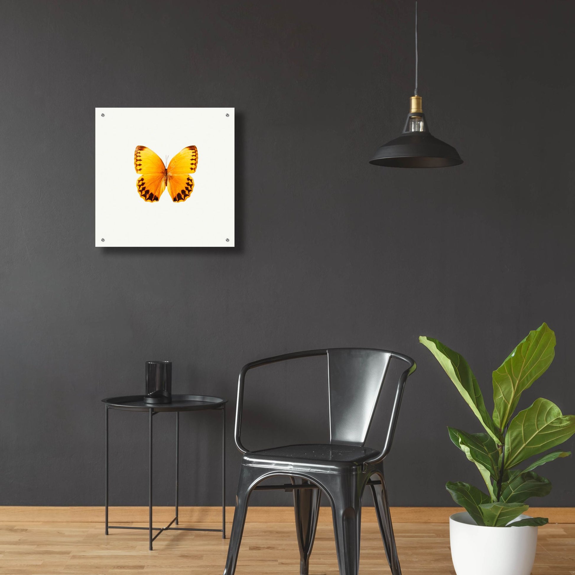 Epic Art 'Yellow Butterfly 2' by Photoinc Studio, Acrylic Glass Wall Art,24x24