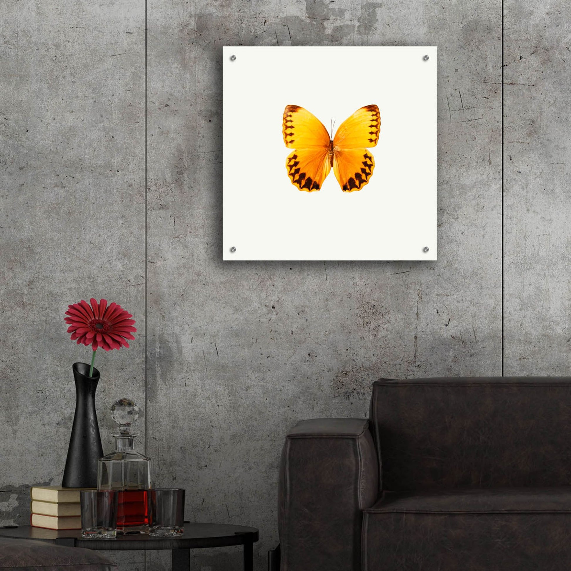 Epic Art 'Yellow Butterfly 2' by Photoinc Studio, Acrylic Glass Wall Art,24x24