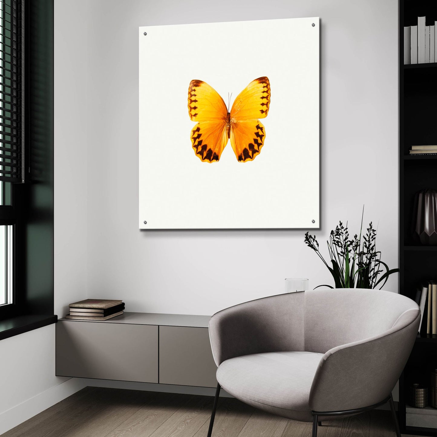 Epic Art 'Yellow Butterfly 2' by Photoinc Studio, Acrylic Glass Wall Art,36x36