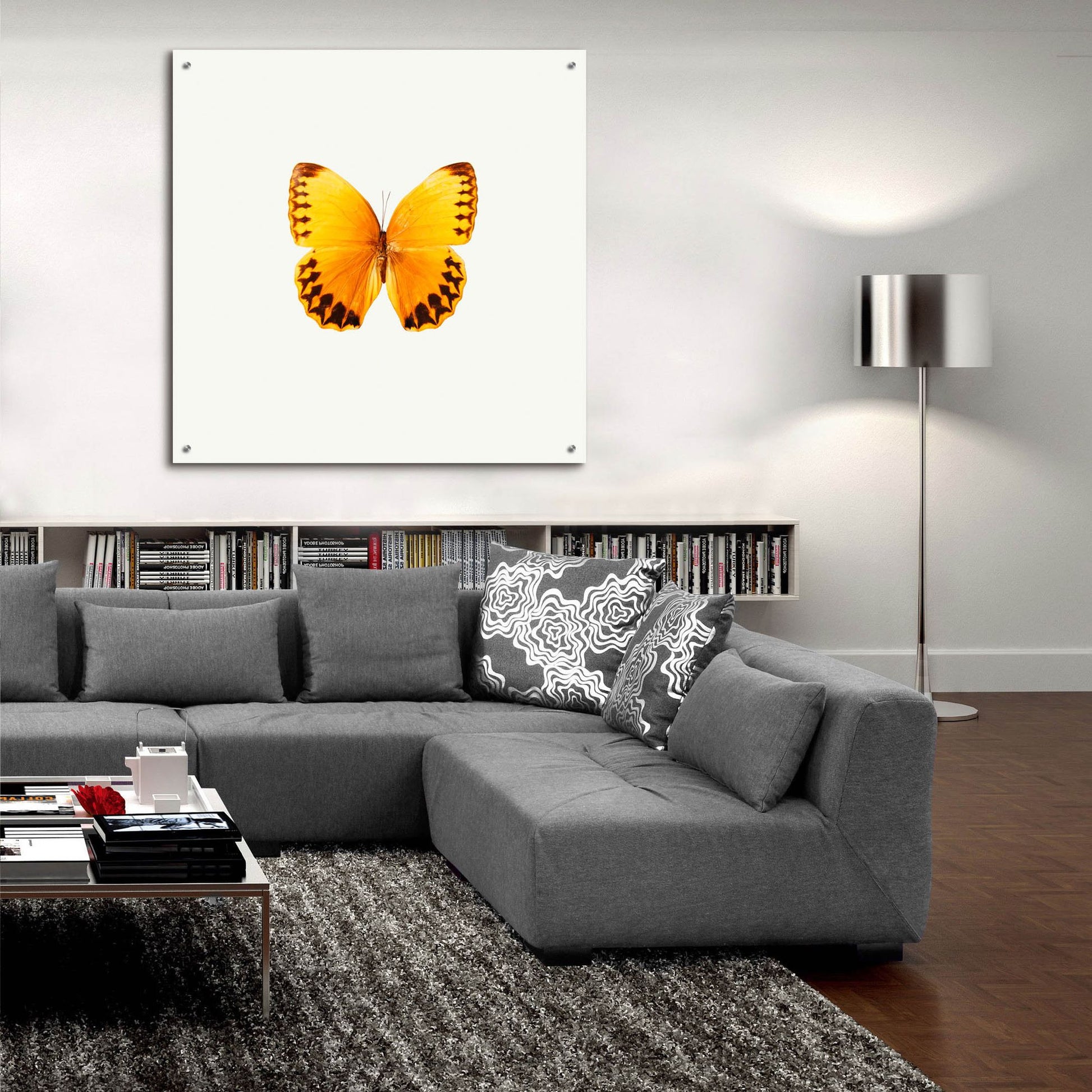 Epic Art 'Yellow Butterfly 2' by Photoinc Studio, Acrylic Glass Wall Art,36x36