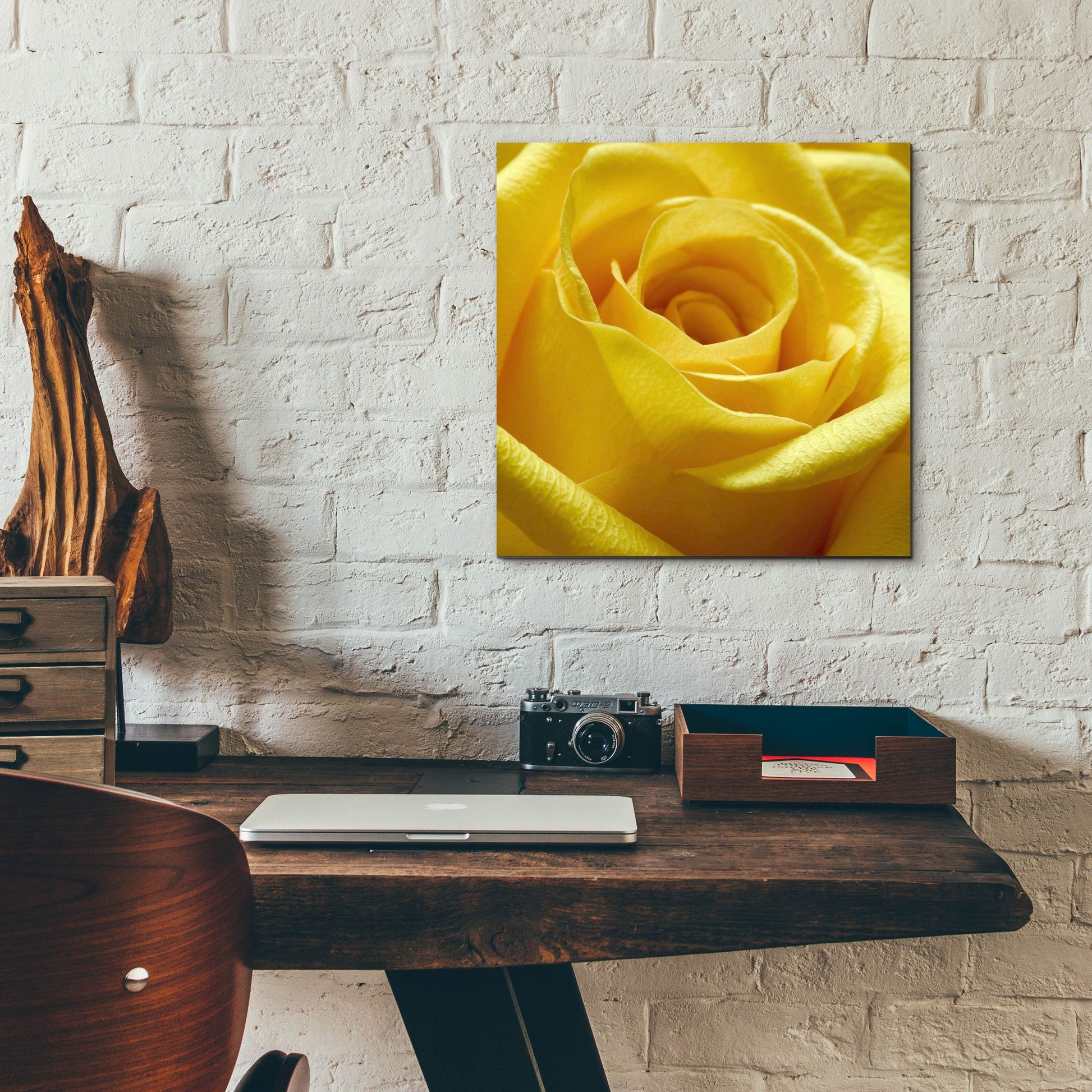 Epic Art 'Yellow Rose' by Photoinc Studio, Acrylic Glass Wall Art,12x12