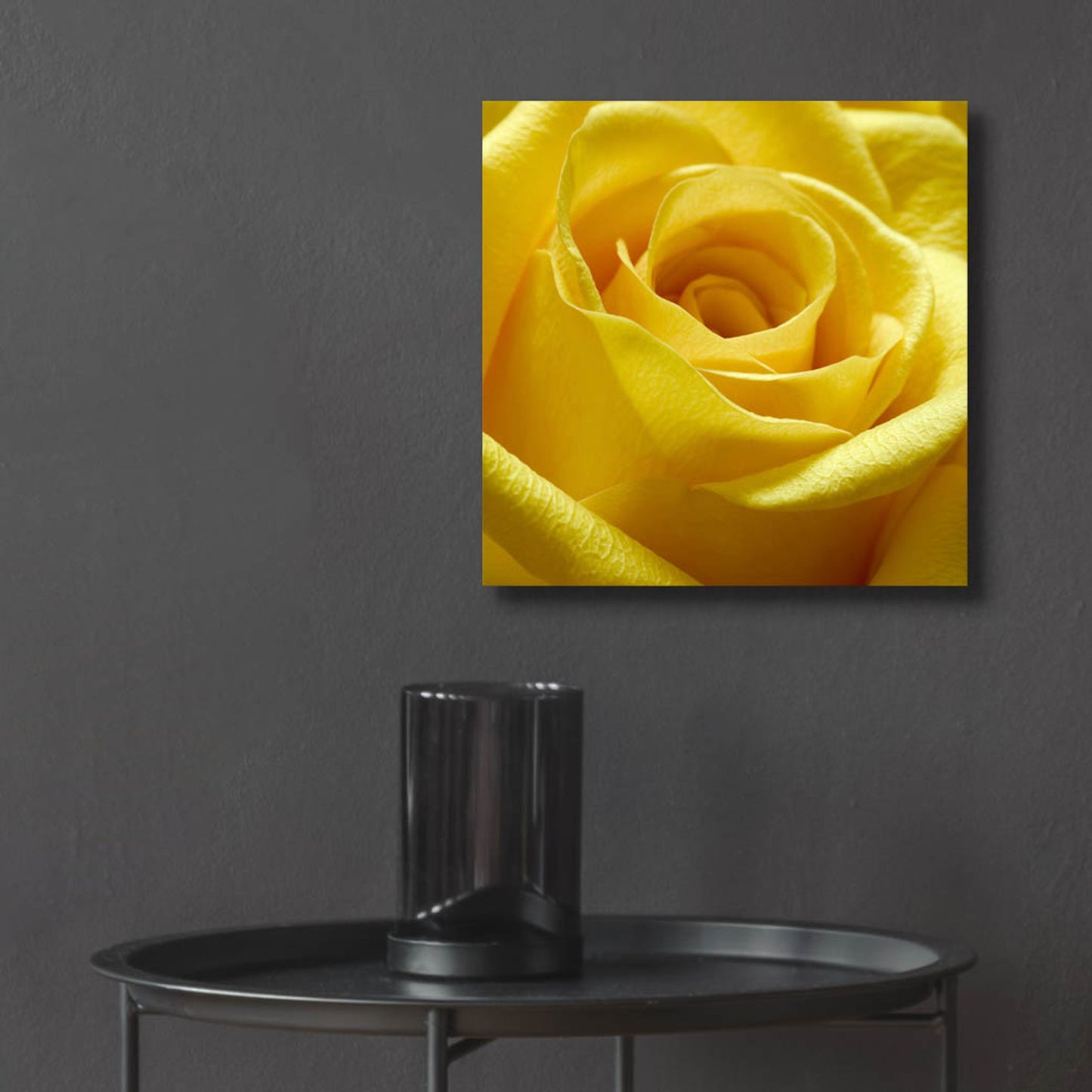 Epic Art 'Yellow Rose' by Photoinc Studio, Acrylic Glass Wall Art,12x12