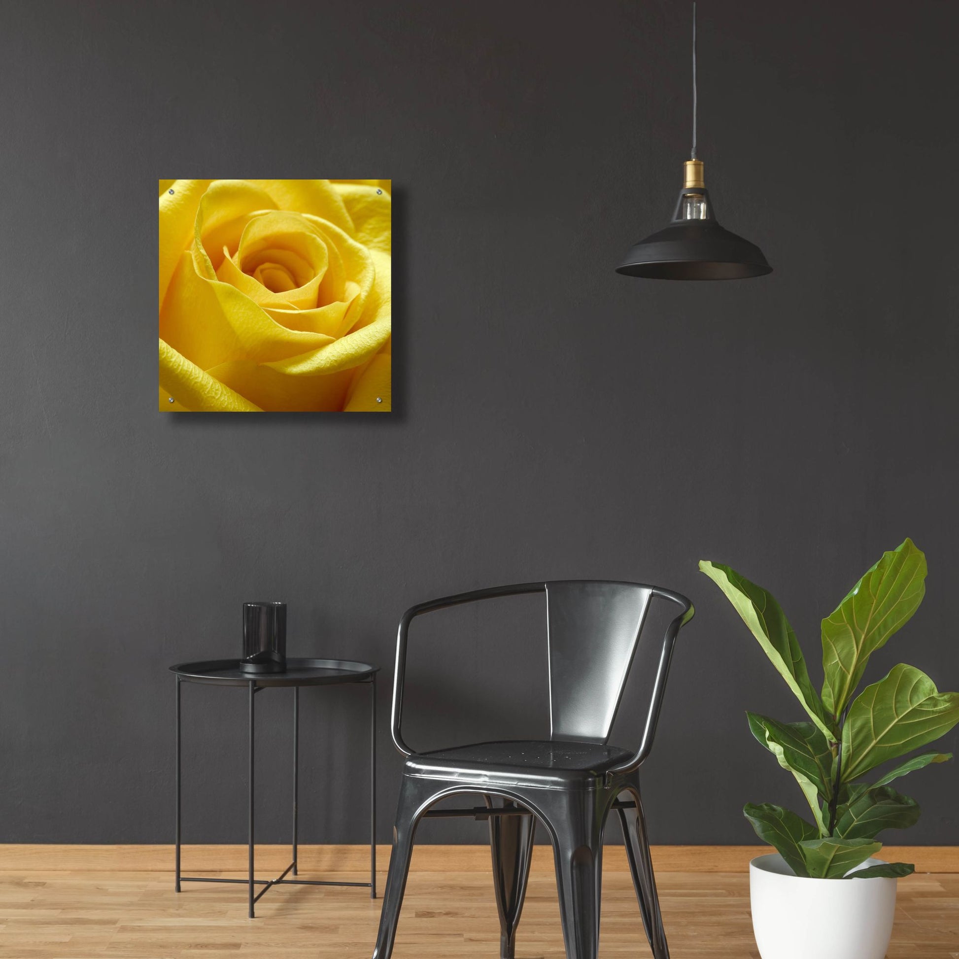 Epic Art 'Yellow Rose' by Photoinc Studio, Acrylic Glass Wall Art,24x24