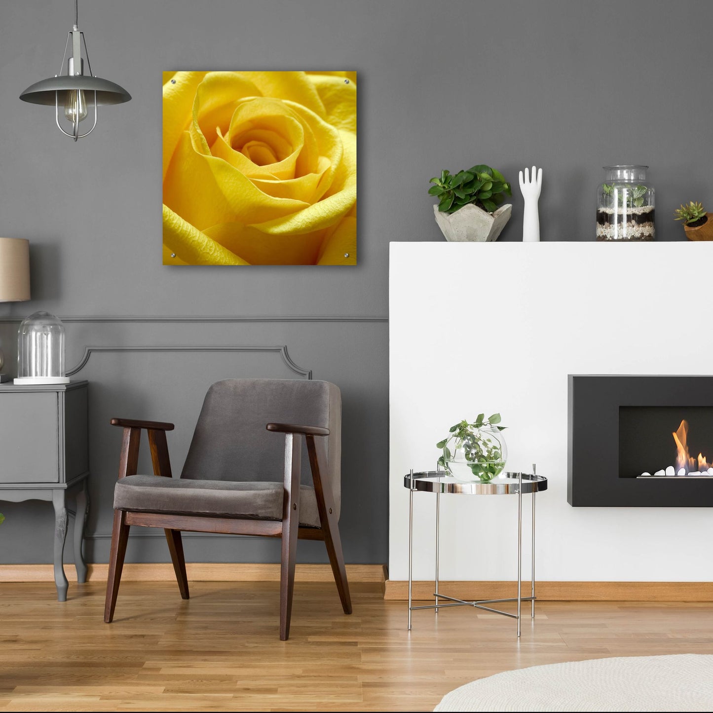 Epic Art 'Yellow Rose' by Photoinc Studio, Acrylic Glass Wall Art,24x24