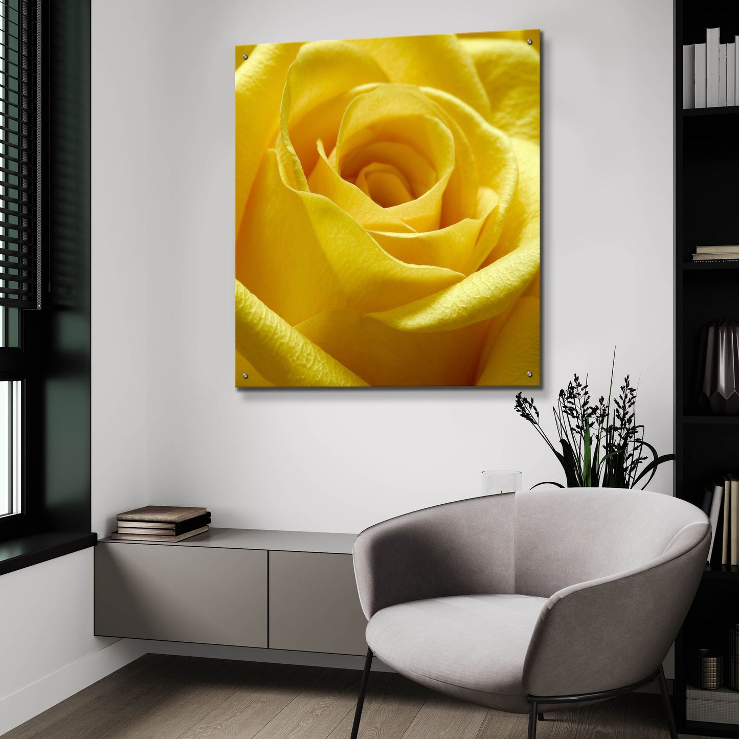 Epic Art 'Yellow Rose' by Photoinc Studio, Acrylic Glass Wall Art,36x36