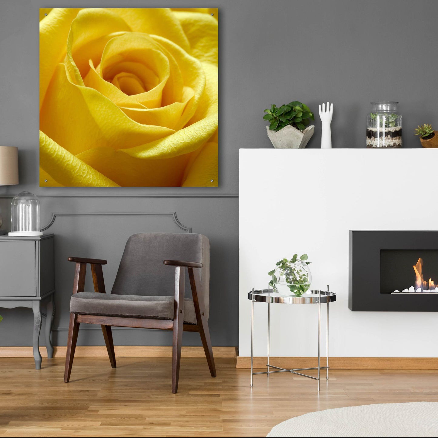 Epic Art 'Yellow Rose' by Photoinc Studio, Acrylic Glass Wall Art,36x36