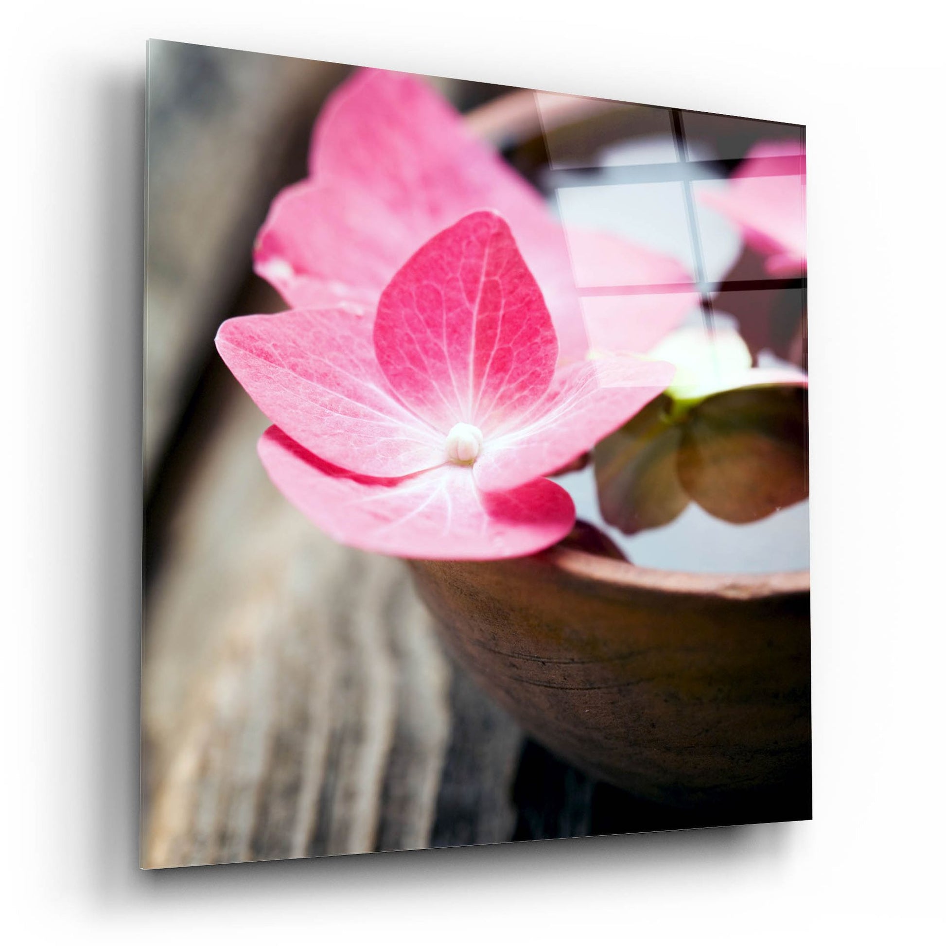 Epic Art 'Zen Bowl' by Photoinc Studio, Acrylic Glass Wall Art,12x12