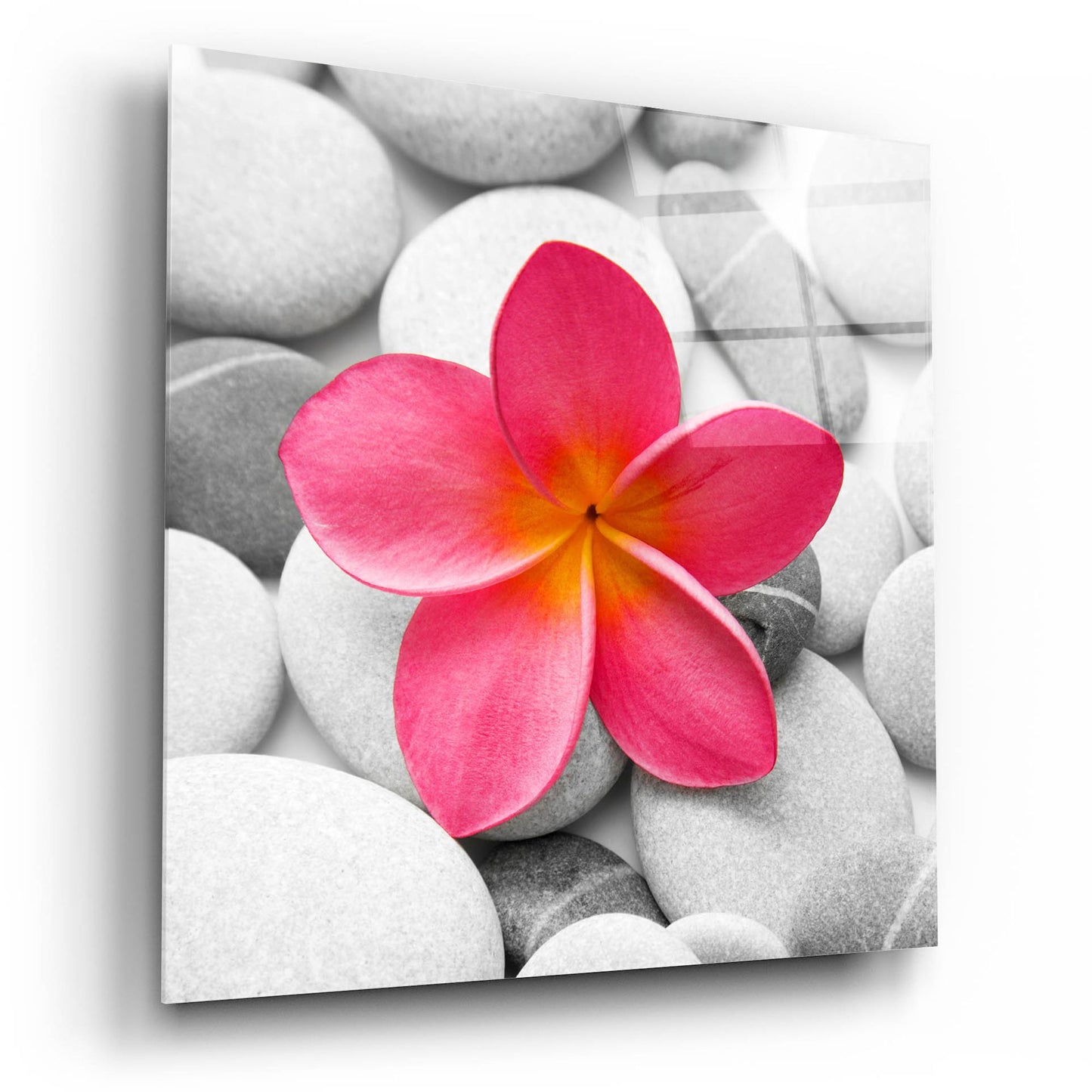 Epic Art 'Zen Flower' by Photoinc Studio, Acrylic Glass Wall Art,12x12