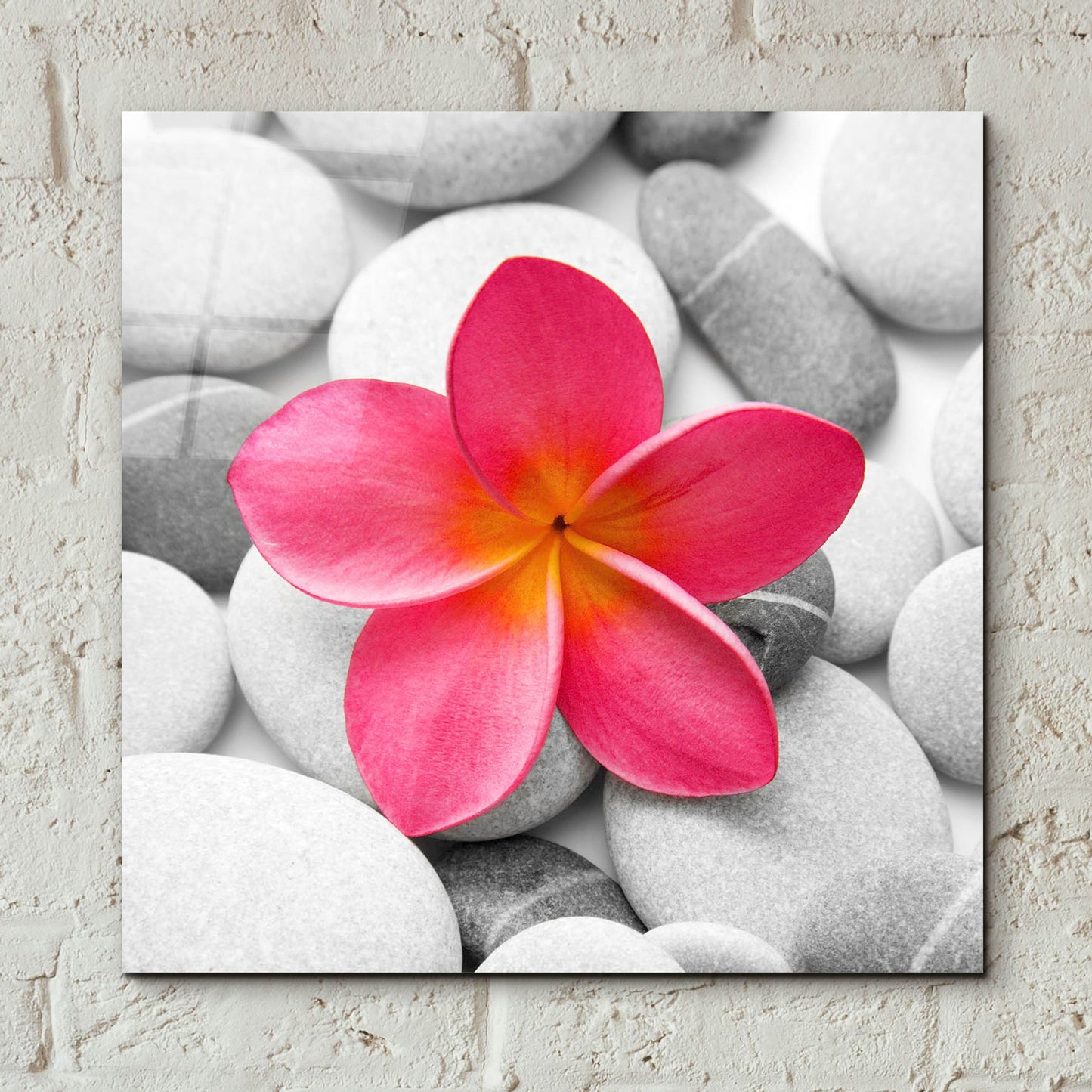 Epic Art 'Zen Flower' by Photoinc Studio, Acrylic Glass Wall Art,12x12