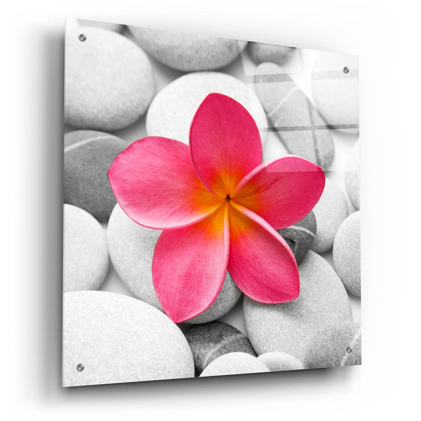 Epic Art 'Zen Flower' by Photoinc Studio, Acrylic Glass Wall Art,24x24