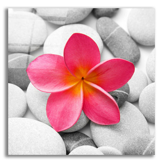 Epic Art 'Zen Flower' by Photoinc Studio, Acrylic Glass Wall Art