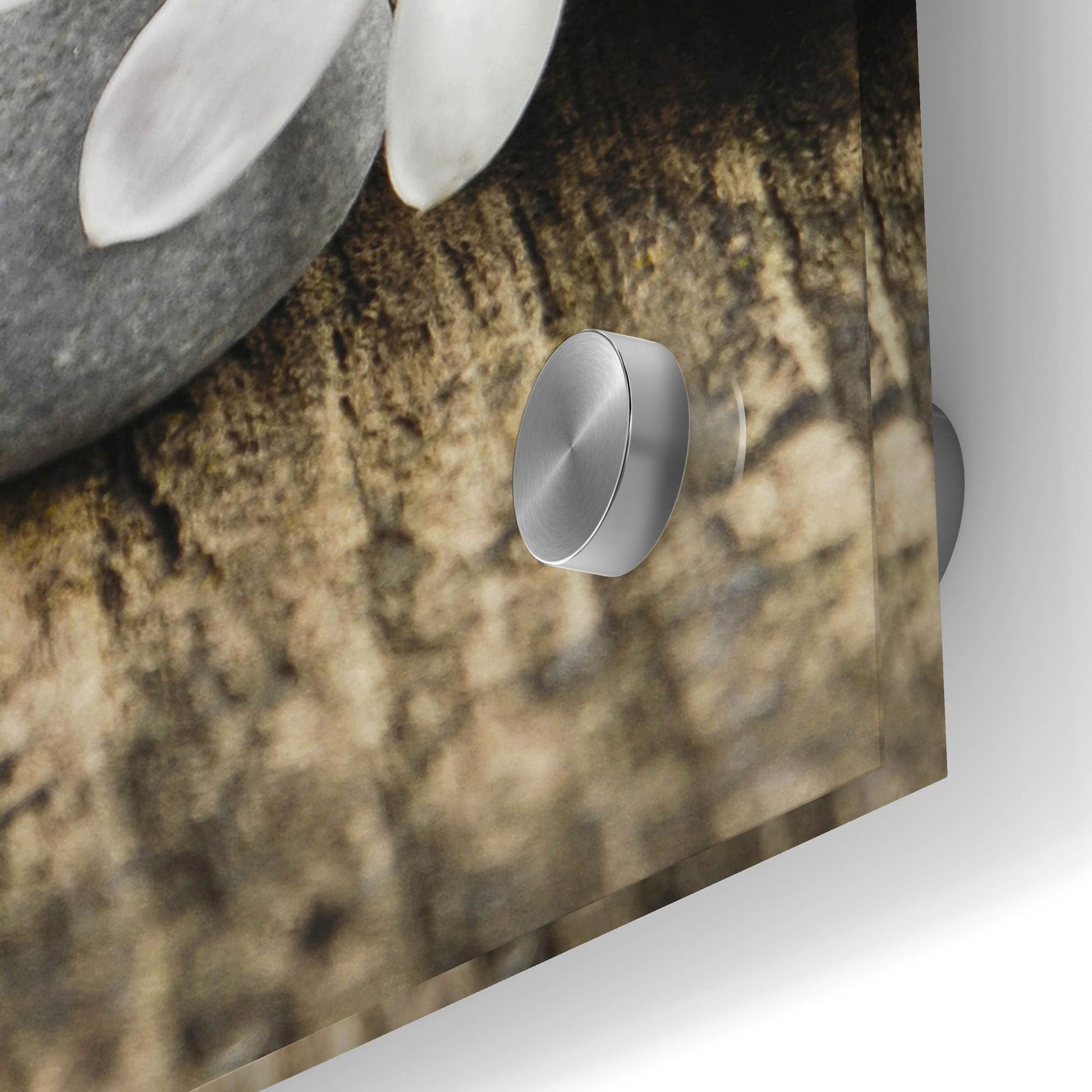 Epic Art 'Zen Pebbles 3' by Photoinc Studio, Acrylic Glass Wall Art,24x24