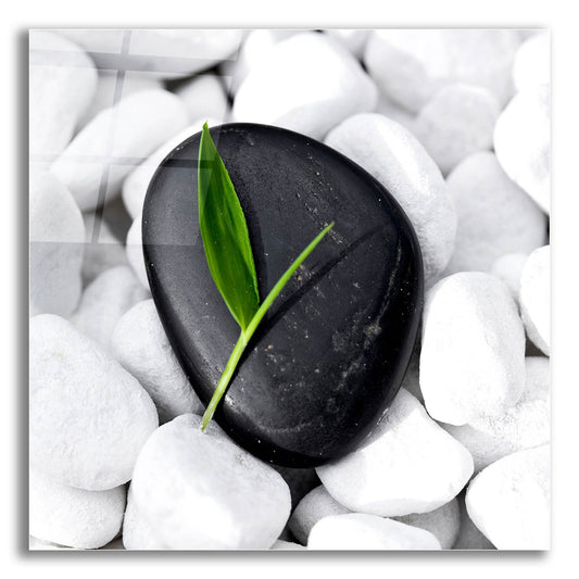 Epic Art 'Zen Stone' by Photoinc Studio, Acrylic Glass Wall Art