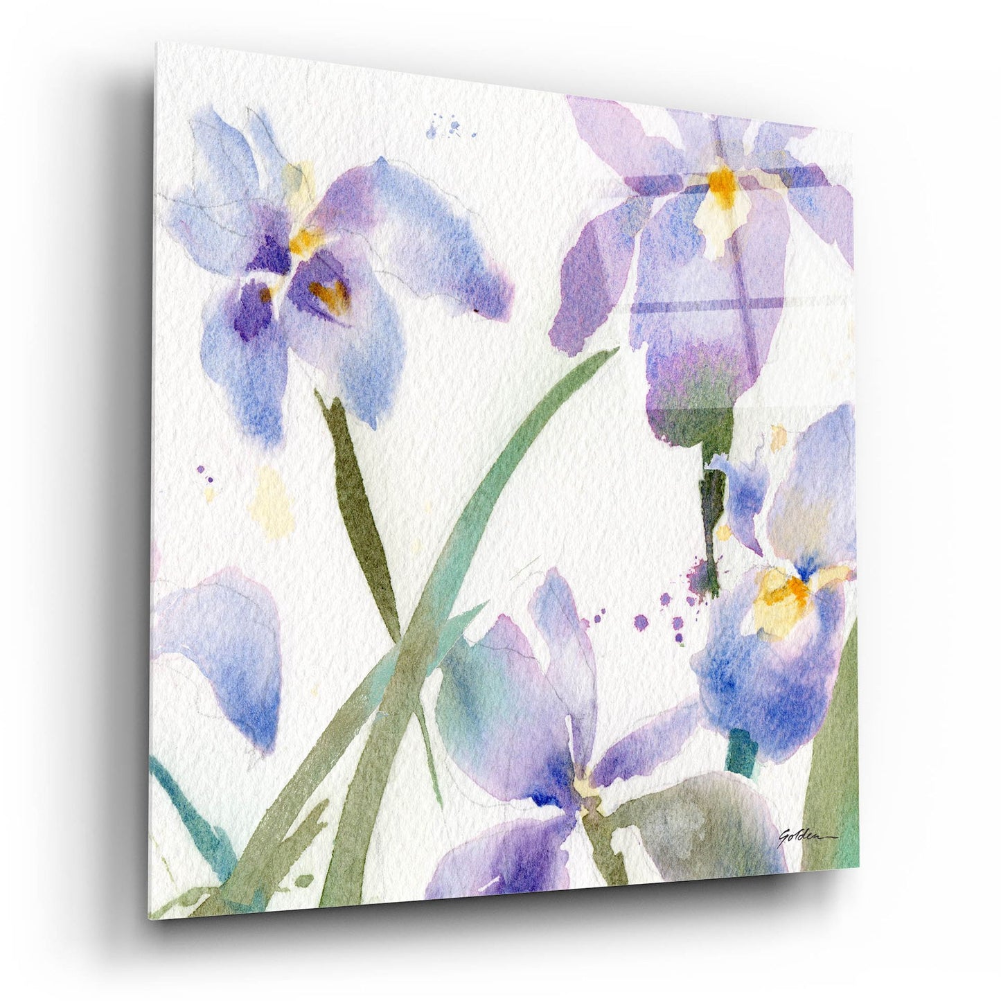 Epic Art 'Irises' by Sheila Golden, Acrylic Glass Wall Art,12x12